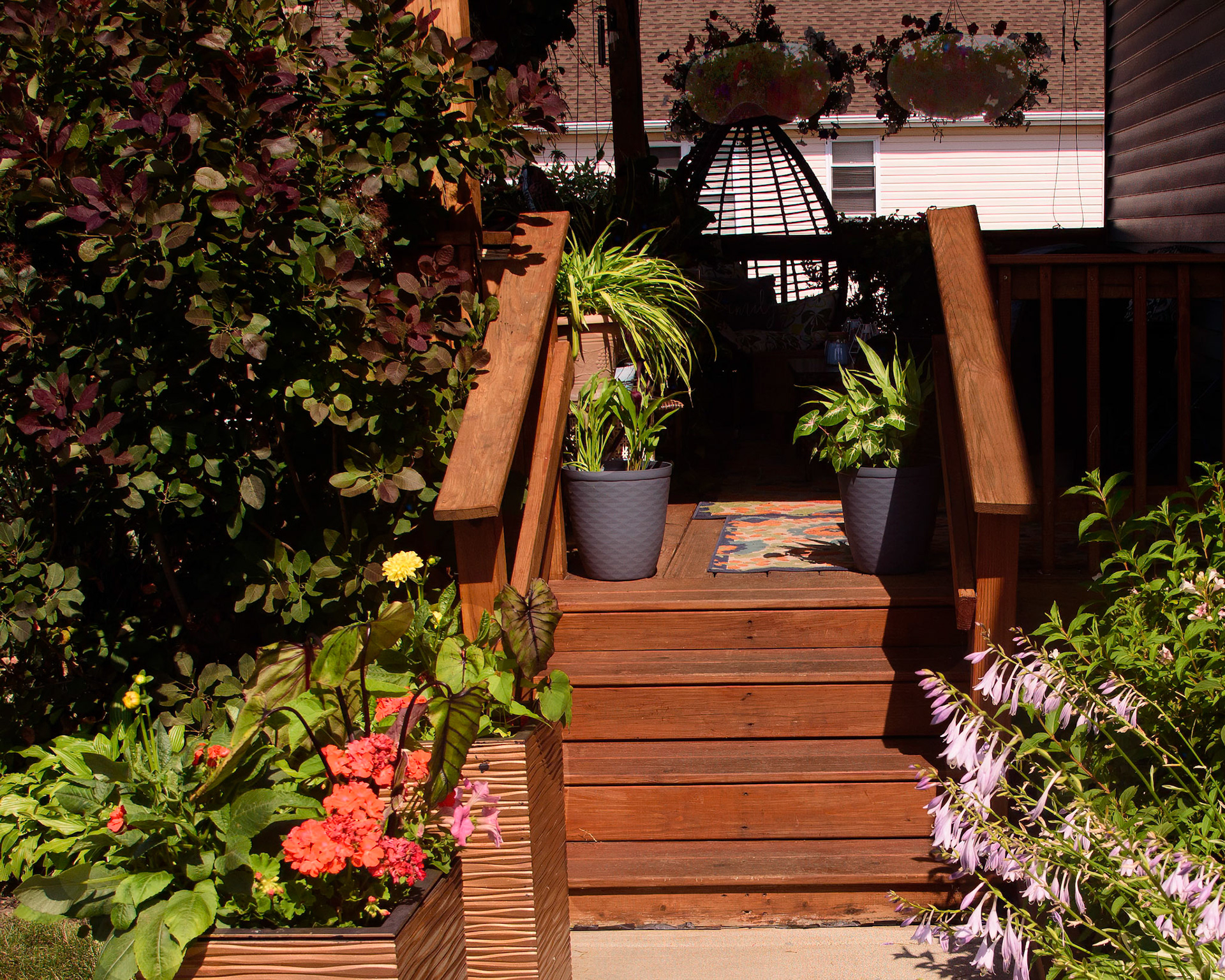Cynthia Brown Oasis