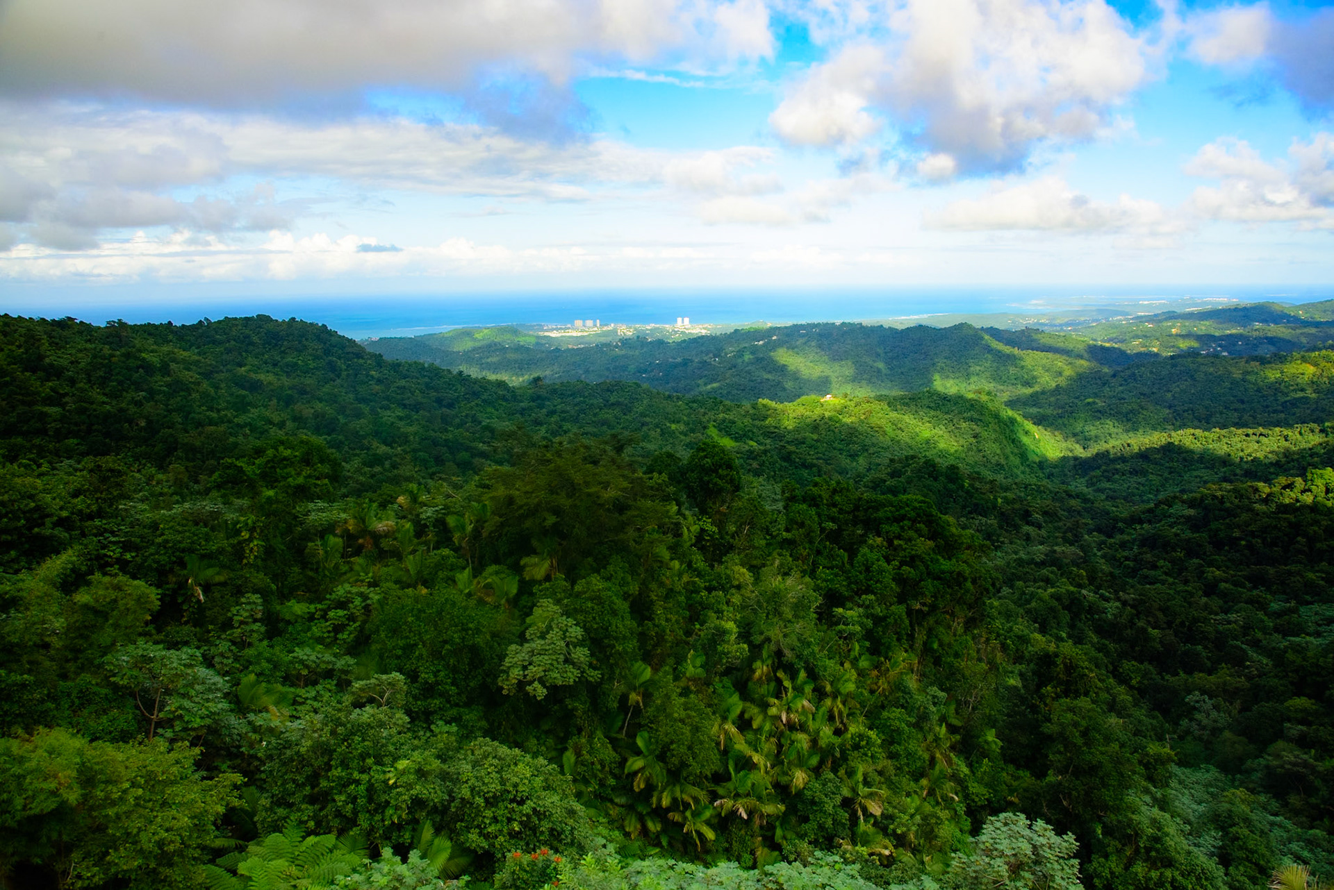 Yunque National Forest