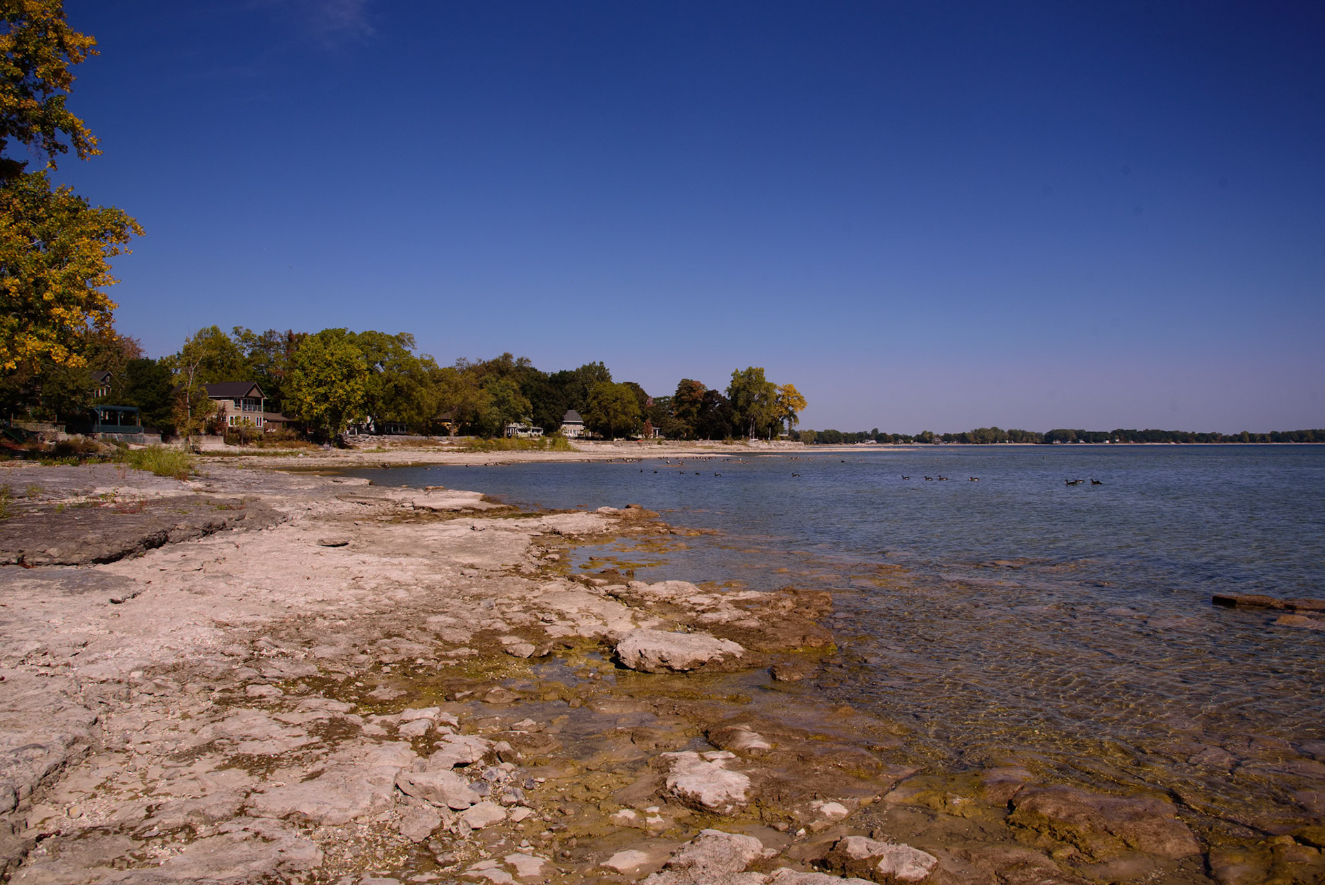 Can Am 2025 - Ridgeway