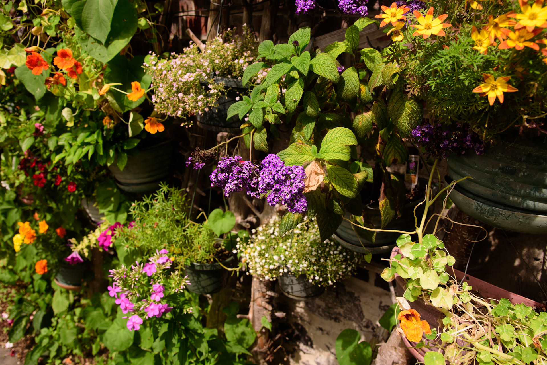 Rob's Garden