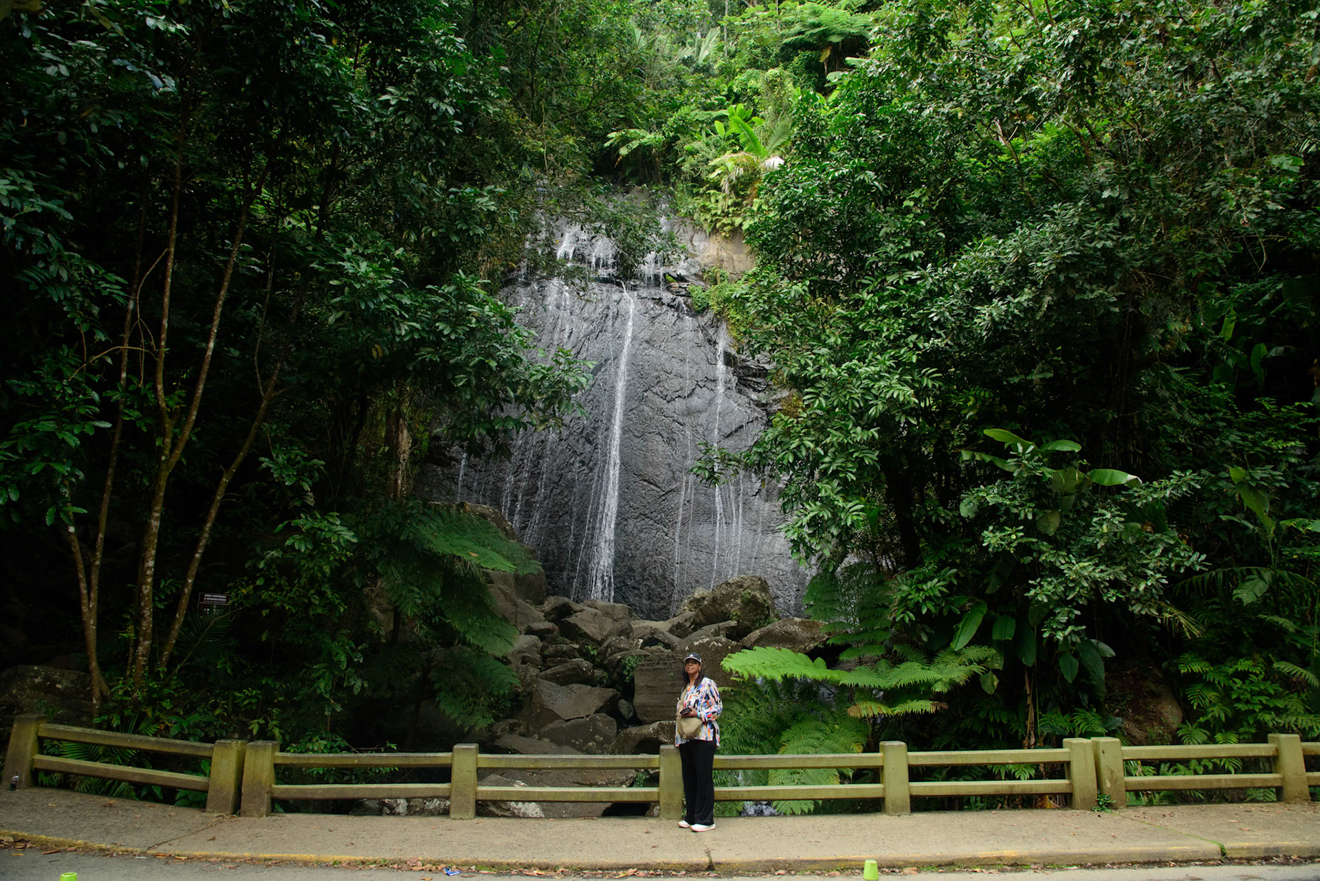 Yunque National Forest