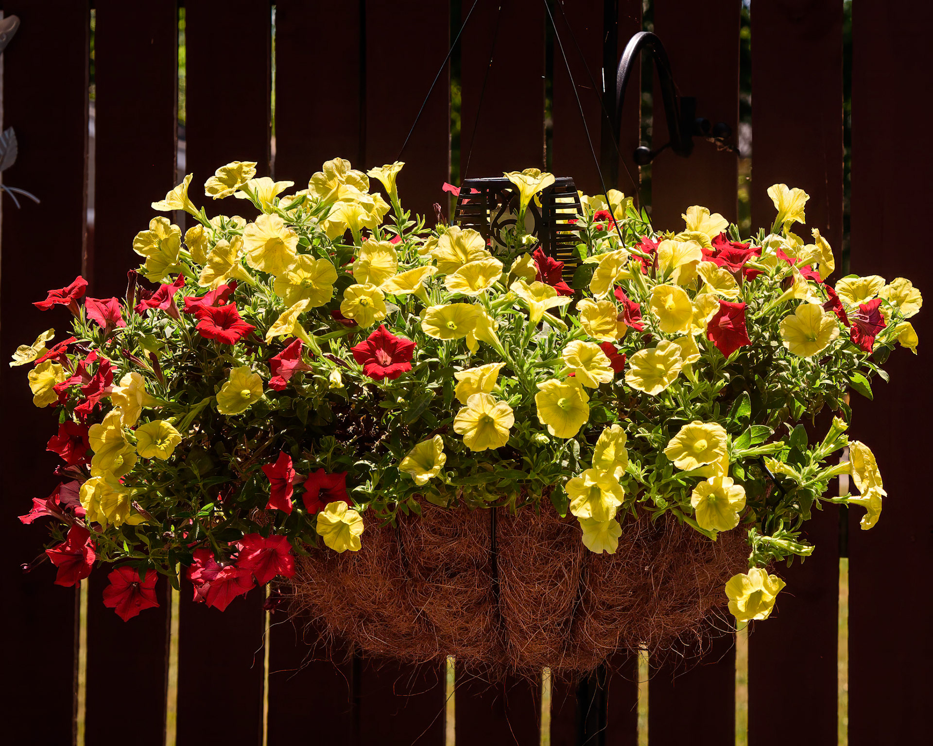 Cliff's Garden