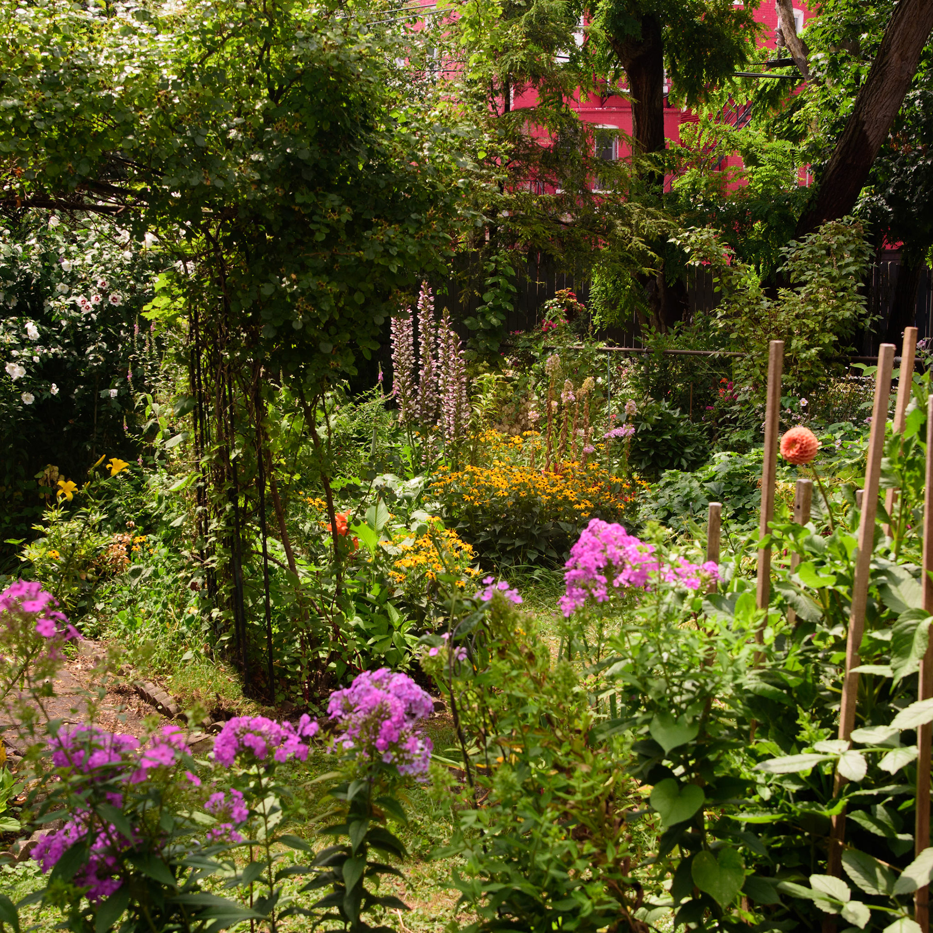 Rob's Garden