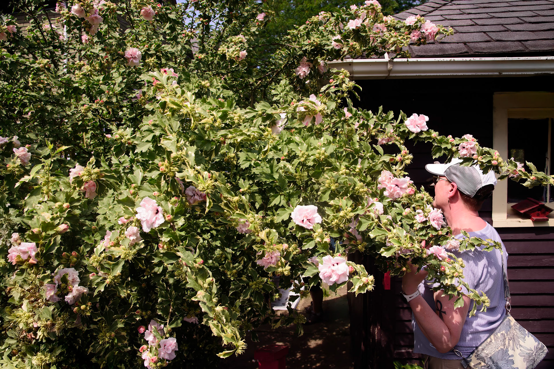 Helen's Garden