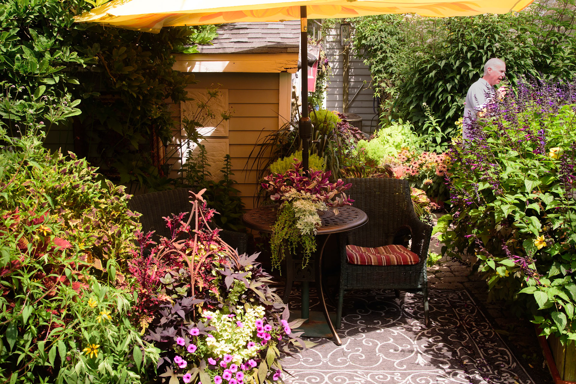 Joe and Scott's Garden