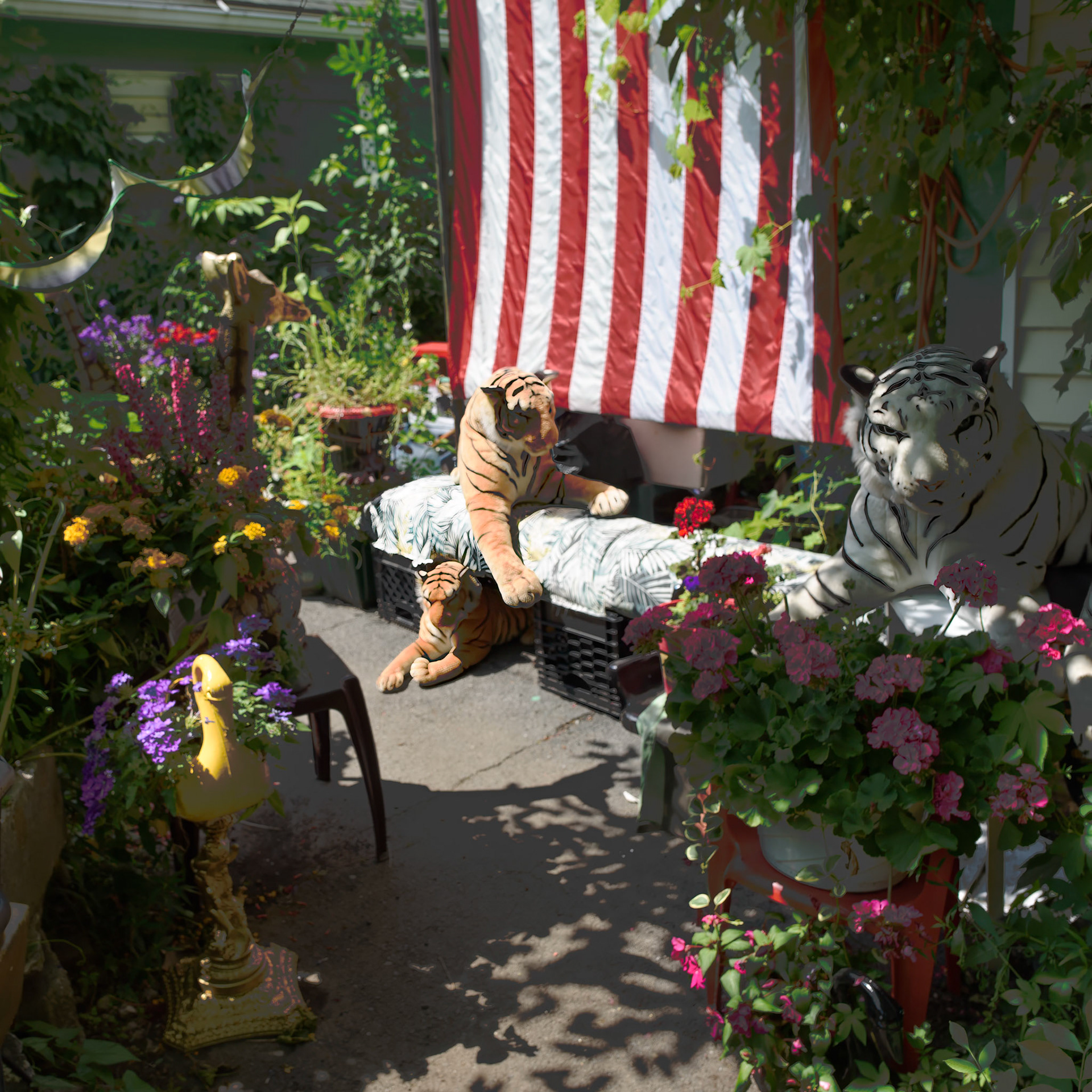 Samantha's Garden