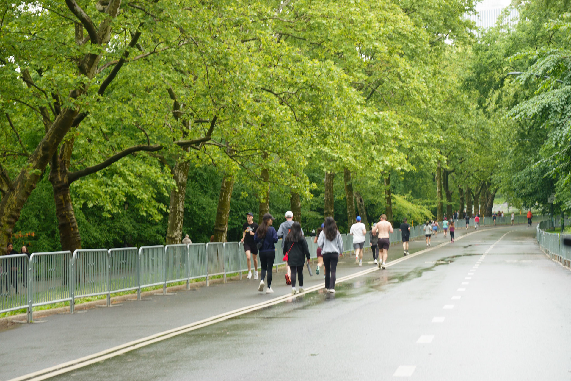 Central Park