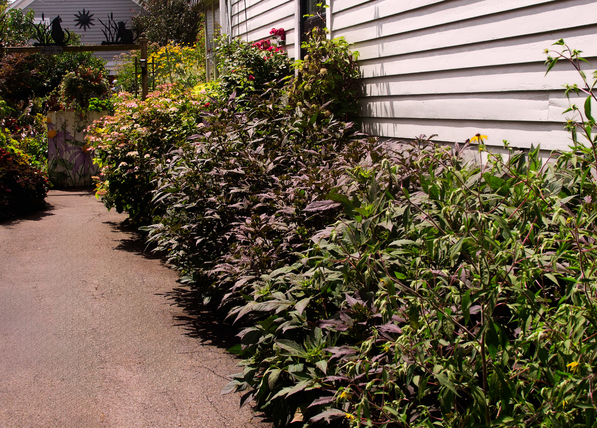 Joe and Scott's Garden