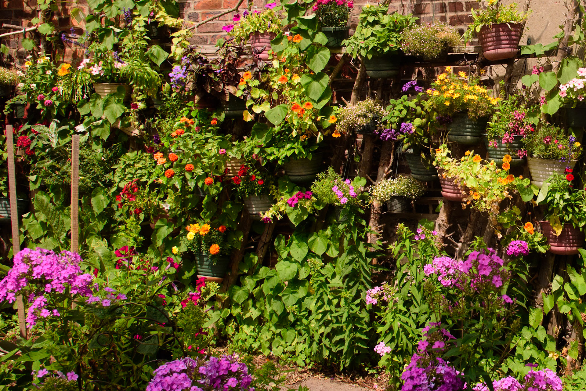 Rob's Garden