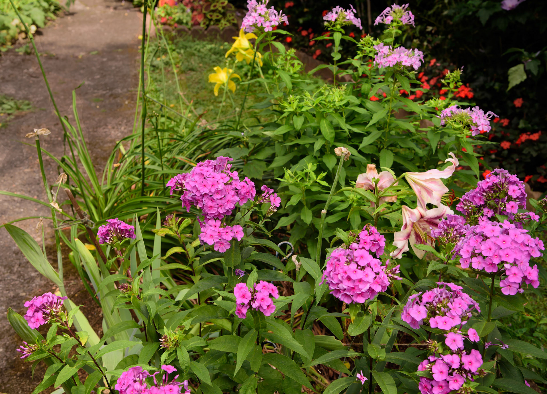Rob's Garden