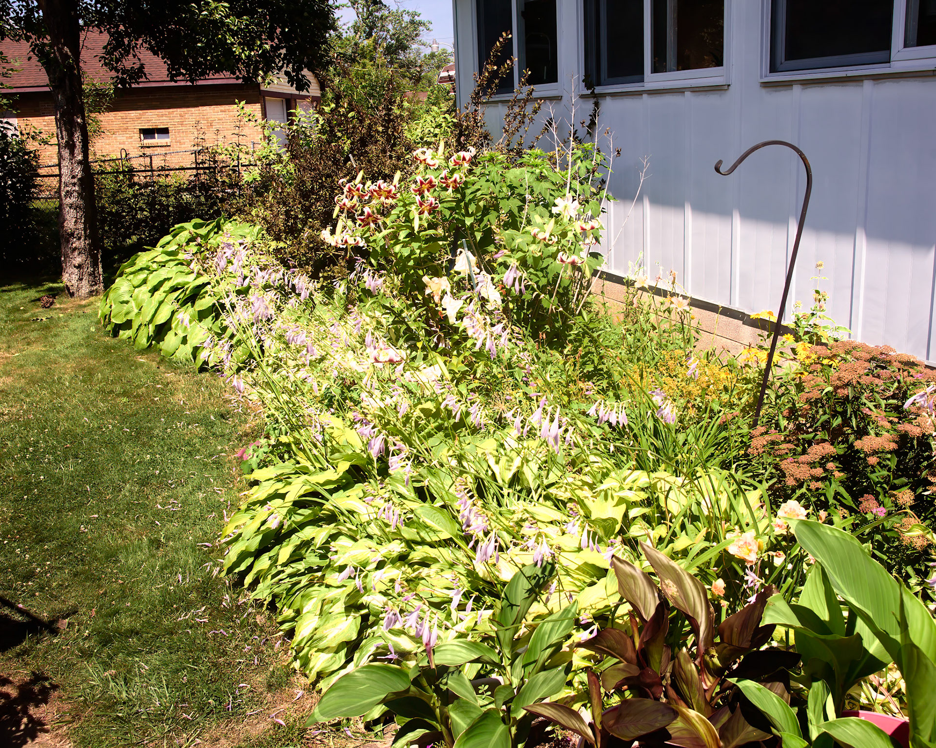 Phyllis' Therapy Garden