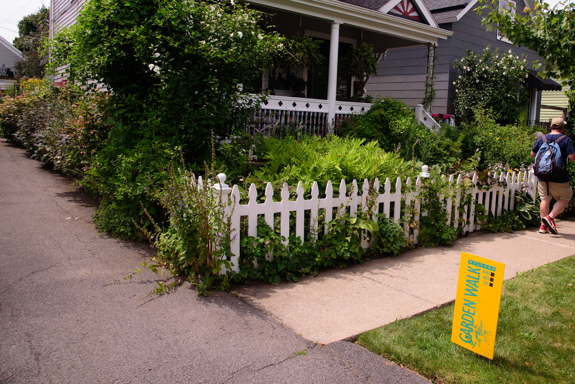 Joe and Scott's Garden