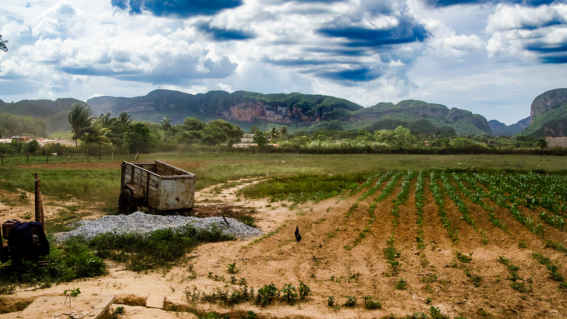 Vinales Valley Tobacco Farm