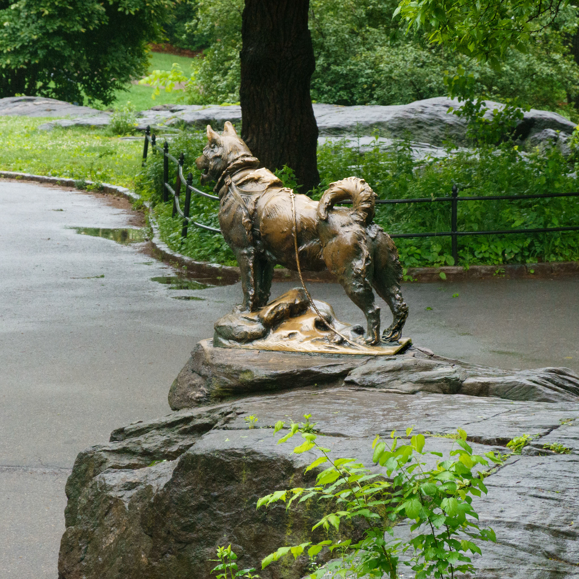 Central Park dog Balto