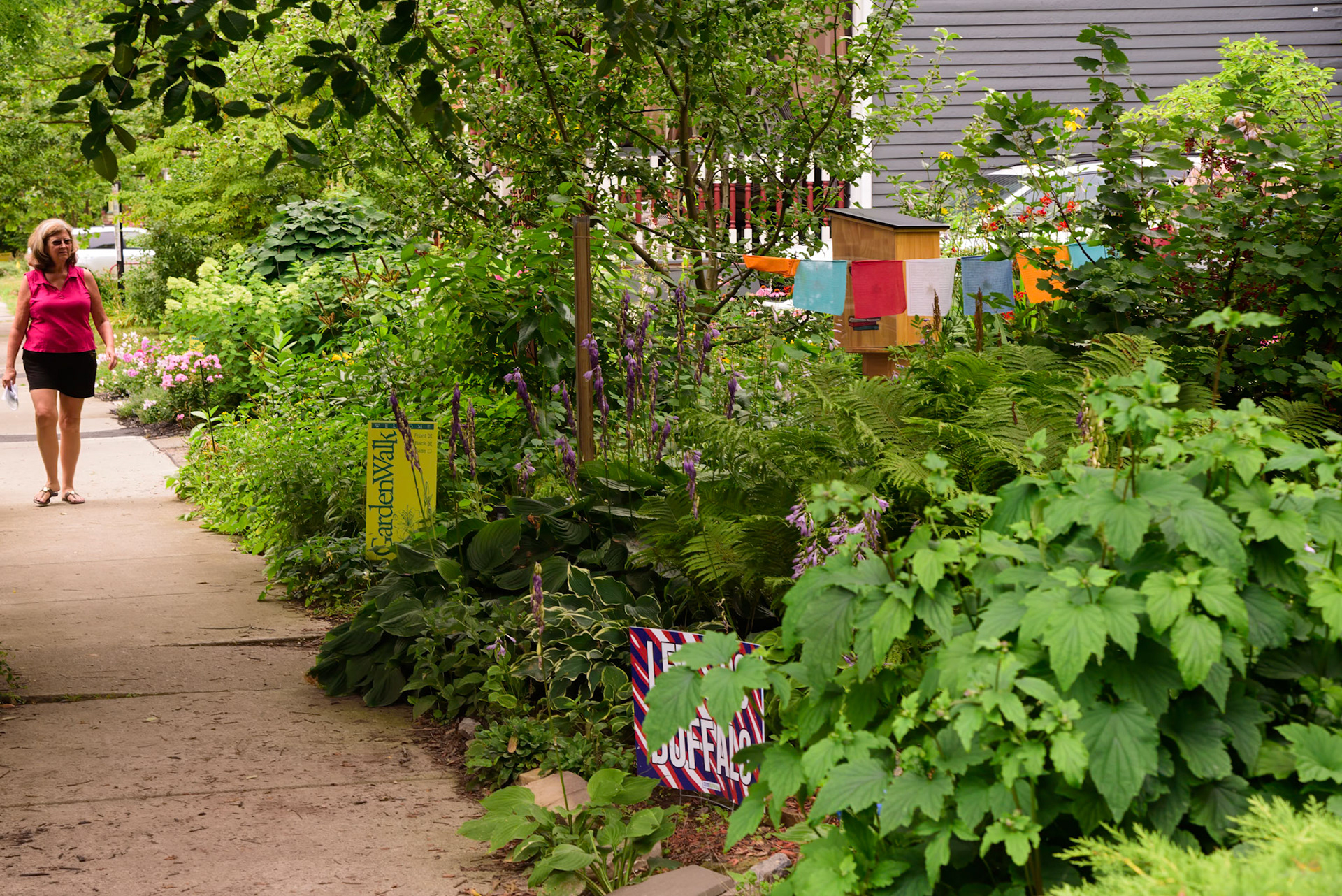 Urban Farm and Garden