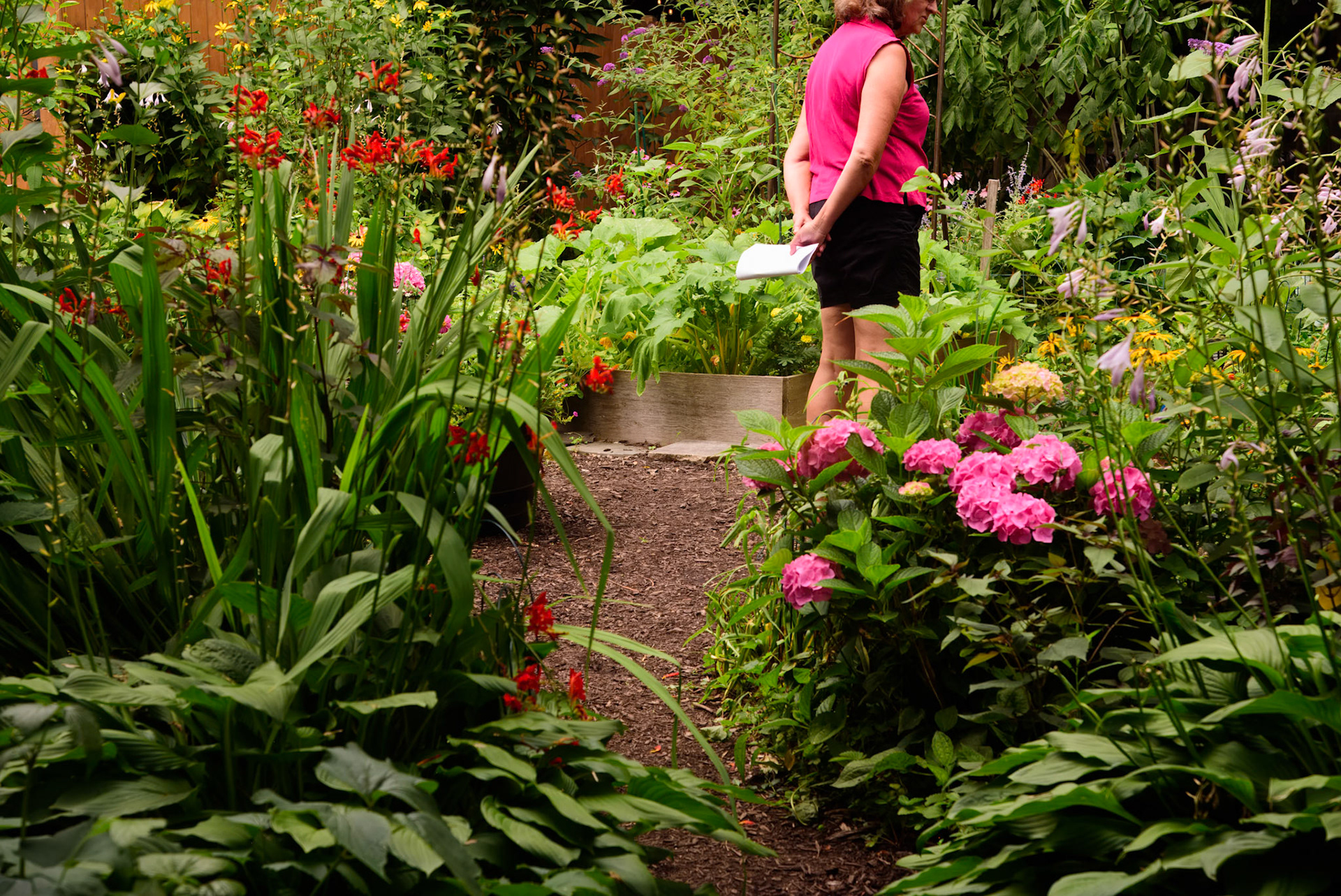 Urban Farm and Garden