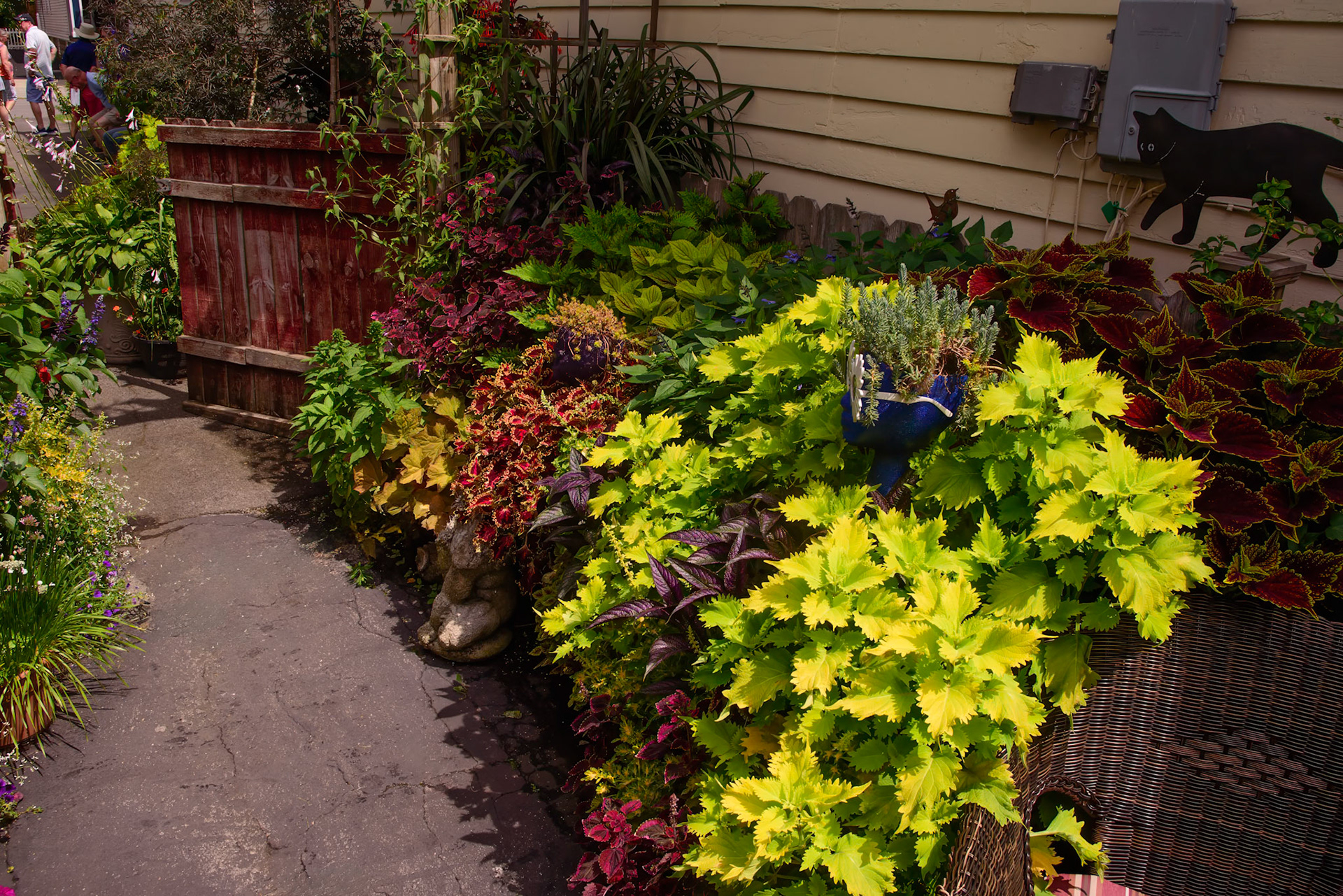 Joe and Scott's Garden