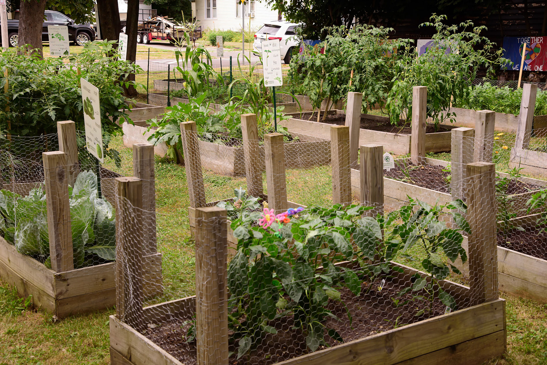 Frida's Rebel Garden