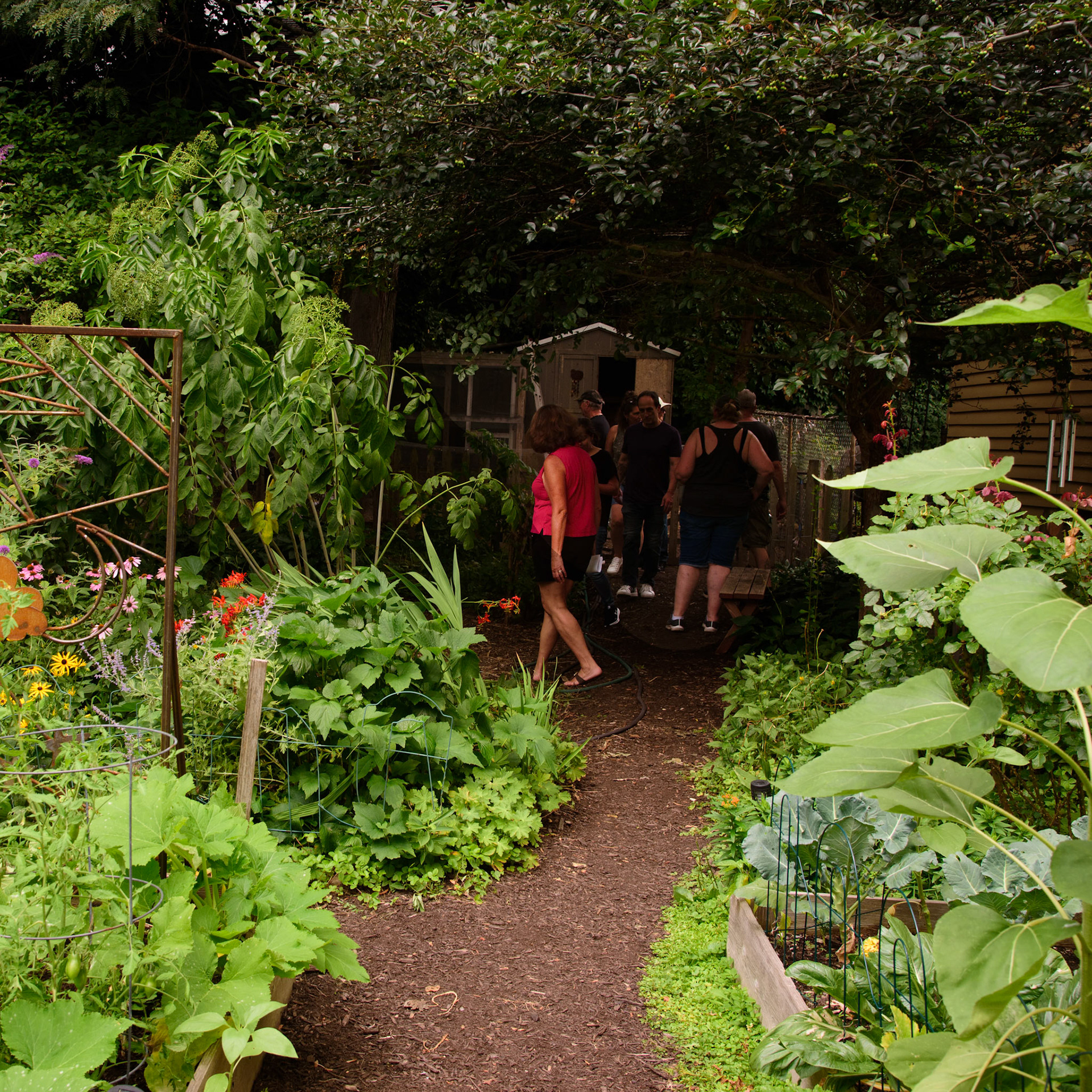 Urban Farm and Garden