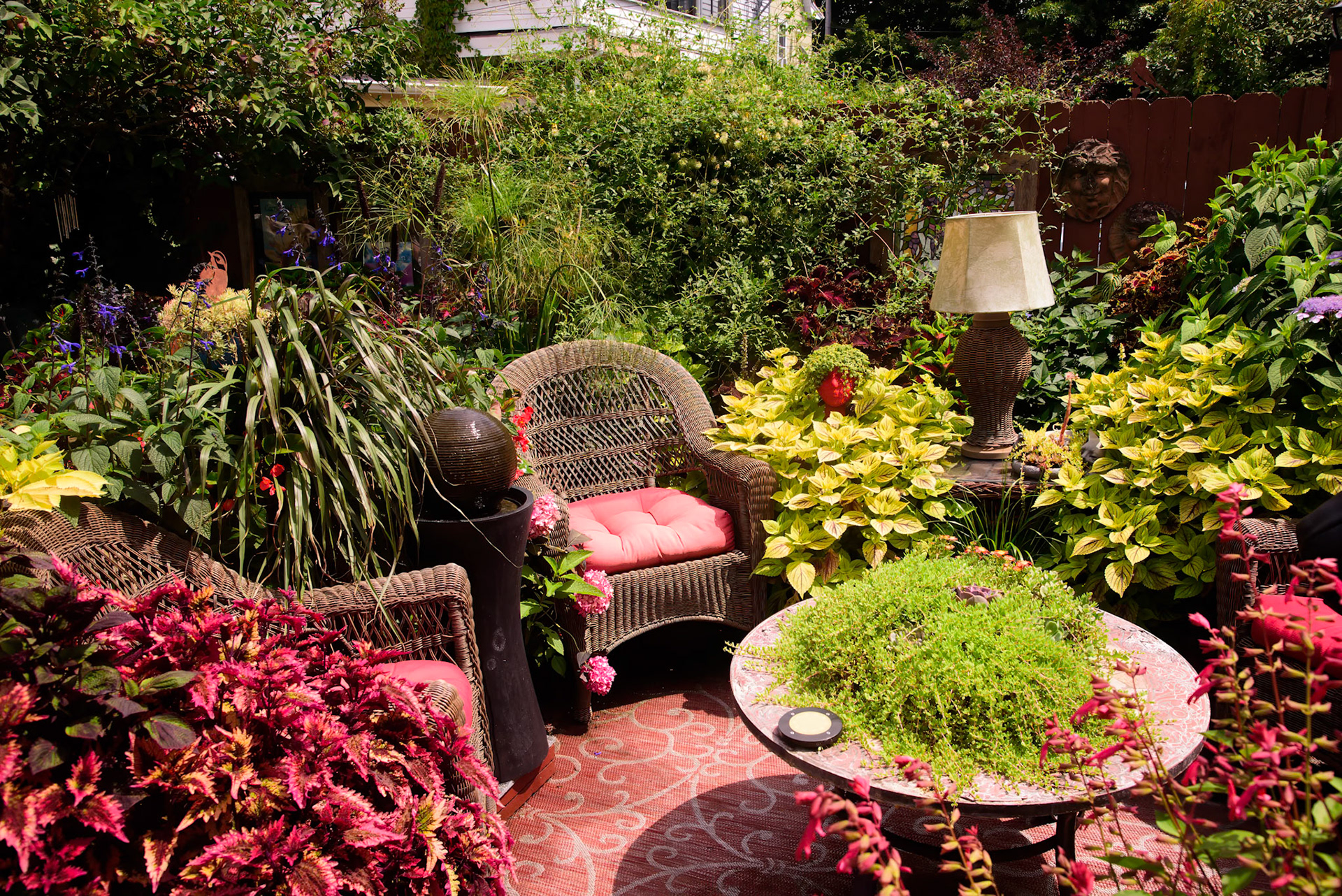 Joe and Scott's Garden