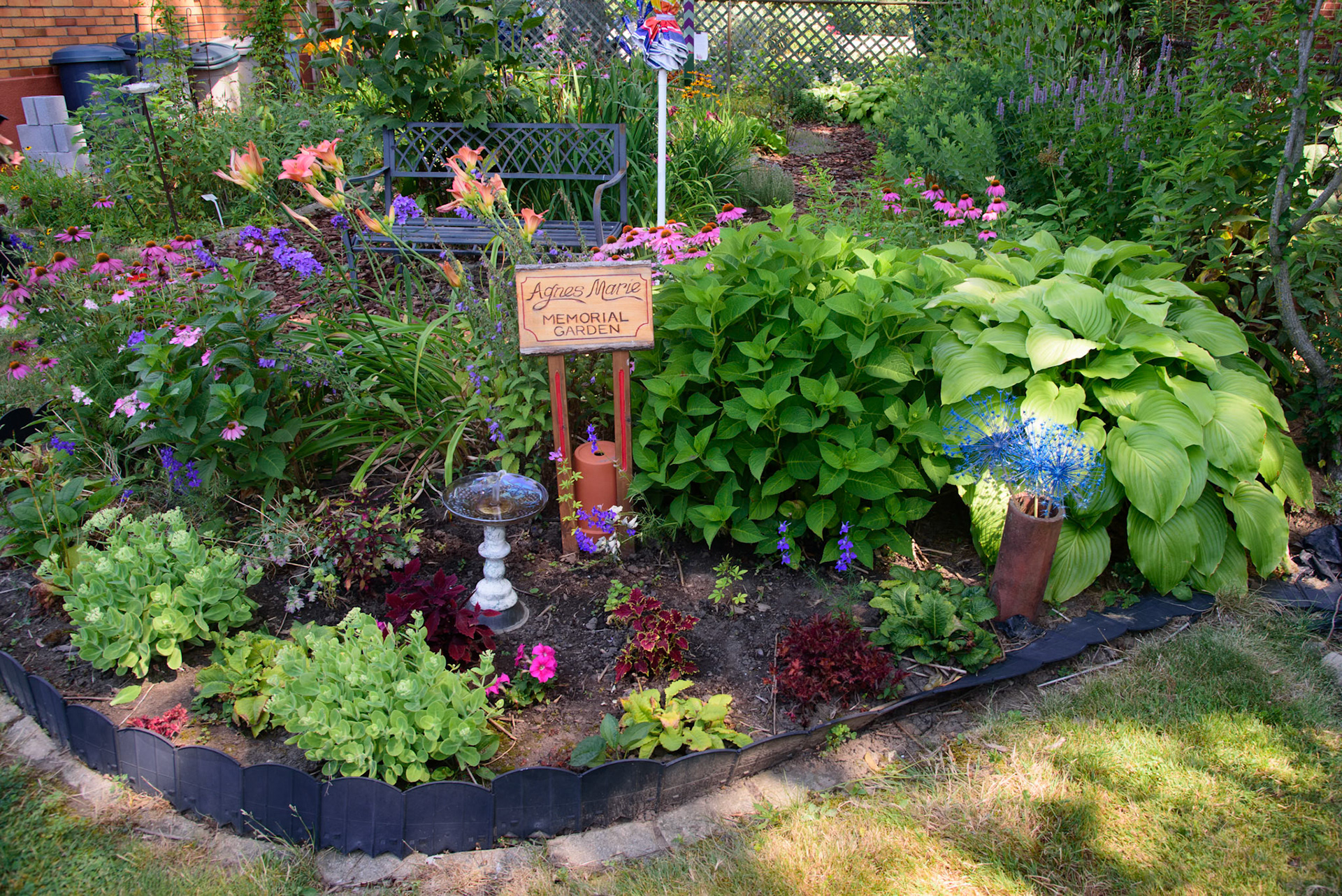 Phyllis' Therapy Garden