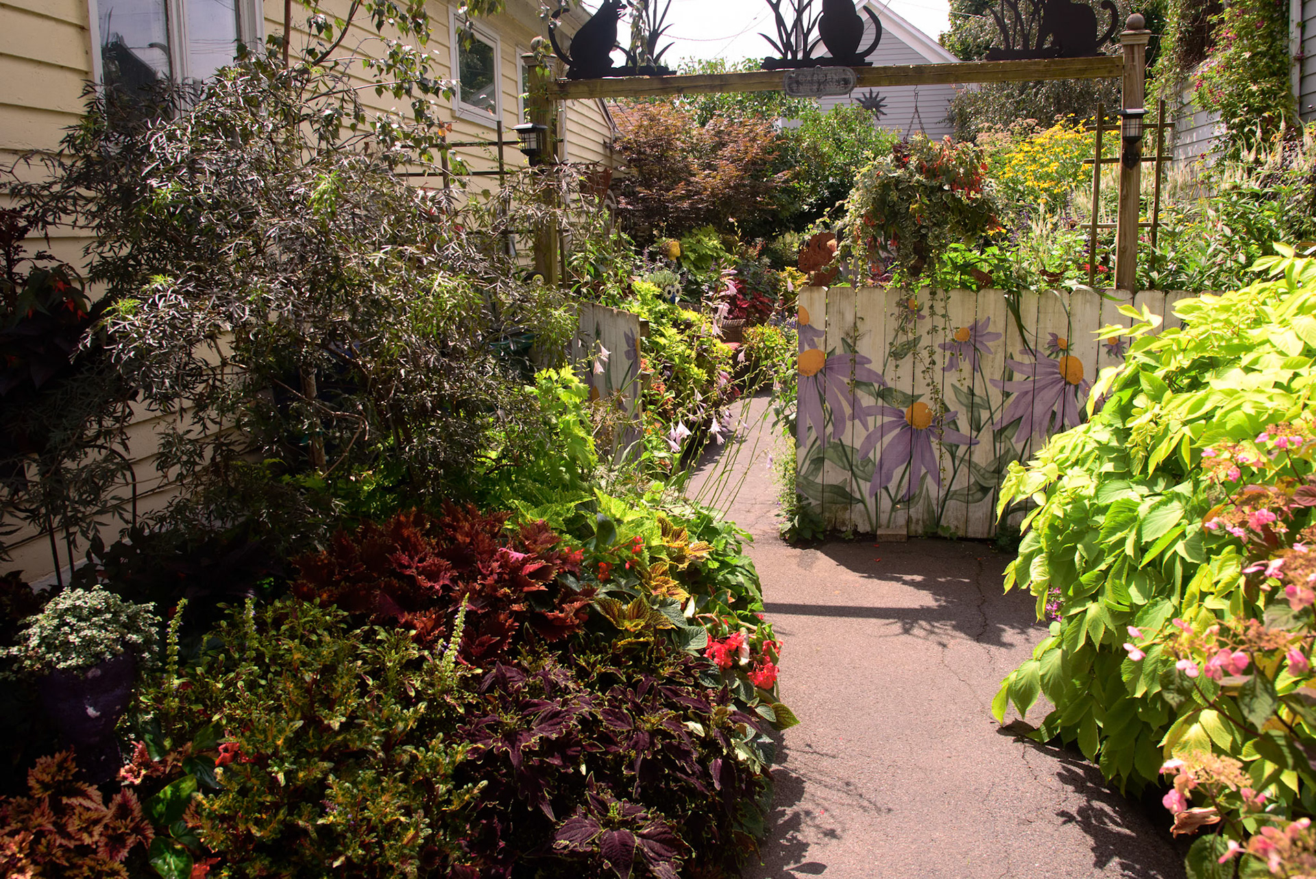 Joe and Scott's Garden