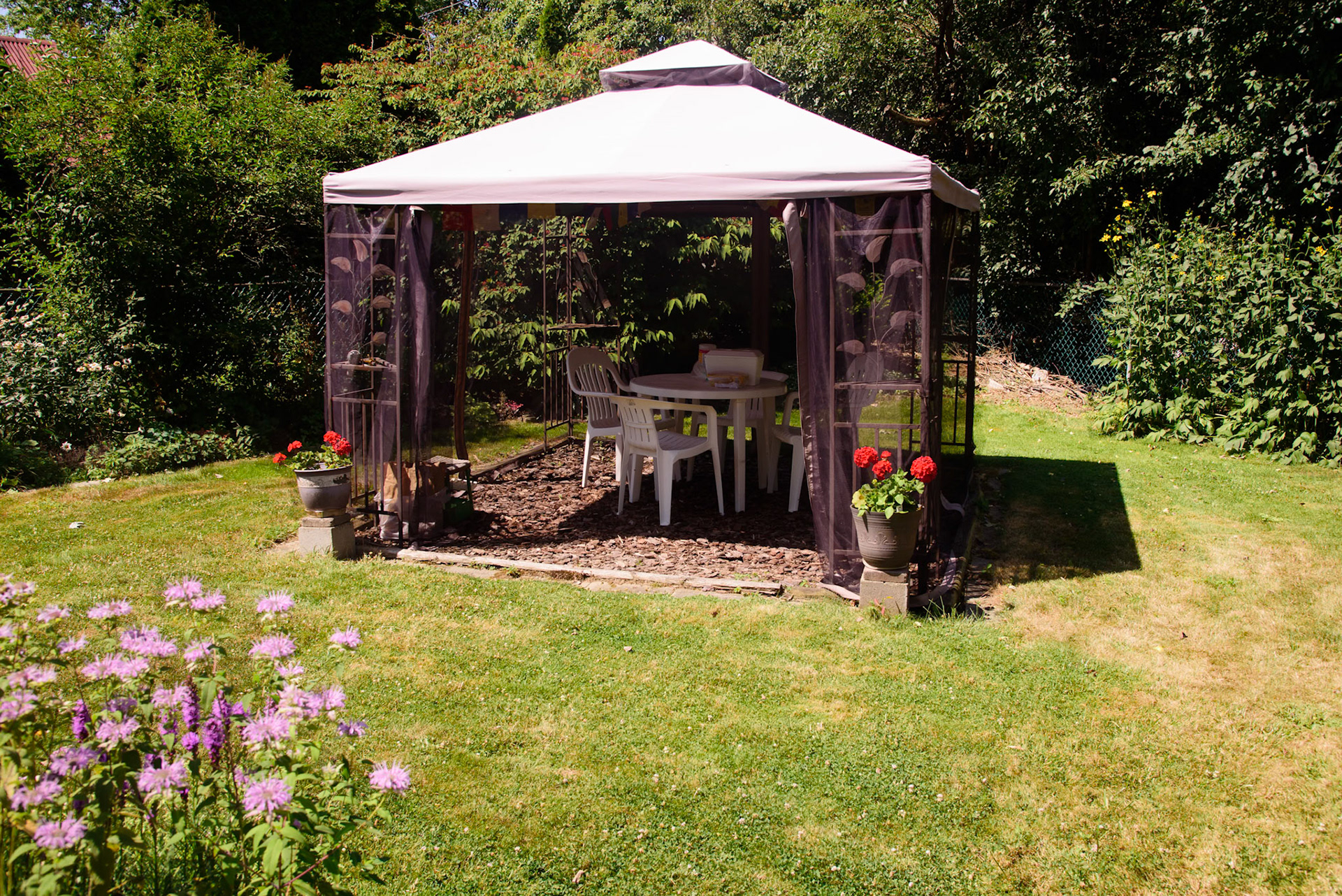 Phyllis' Therapy Garden