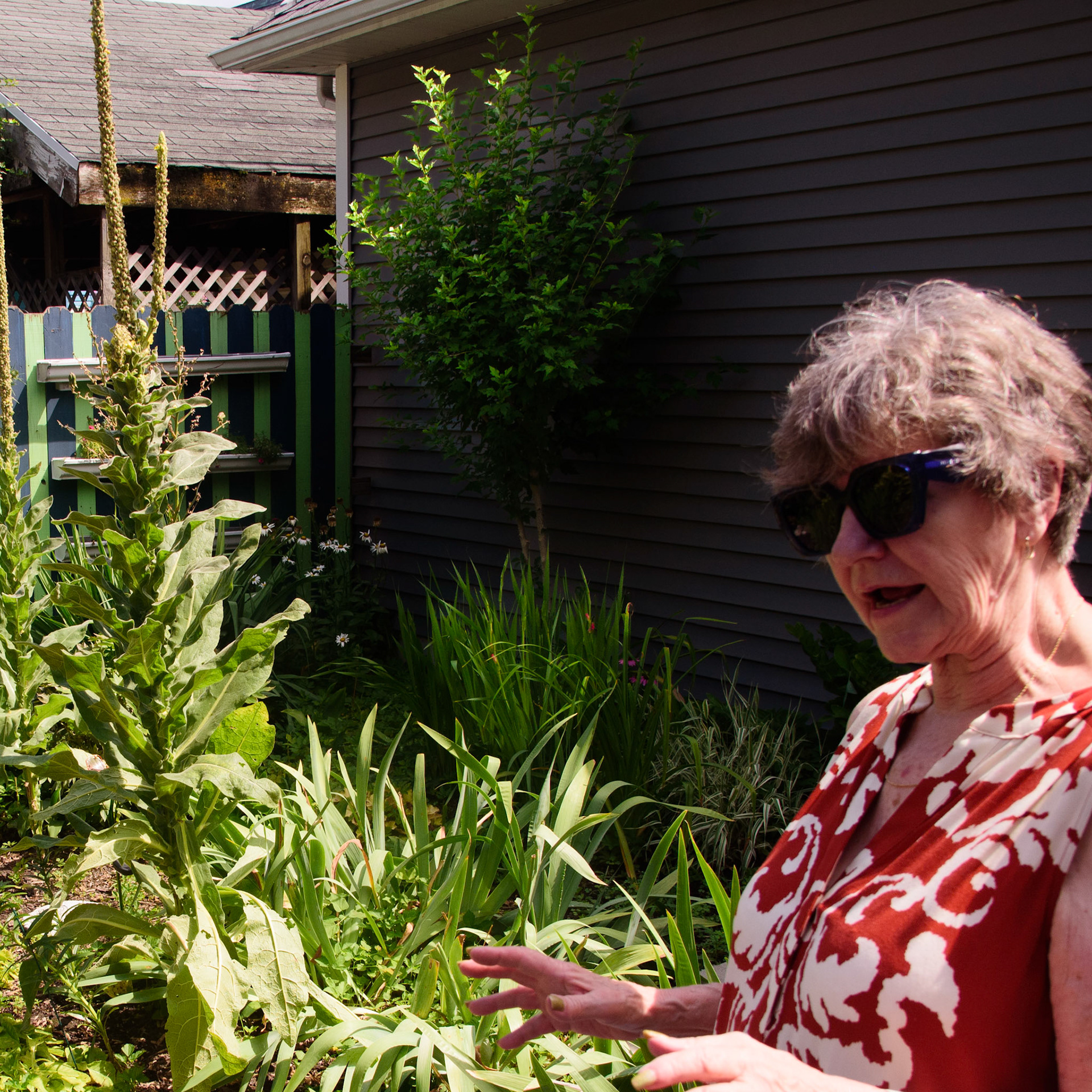 Helen's Garden
