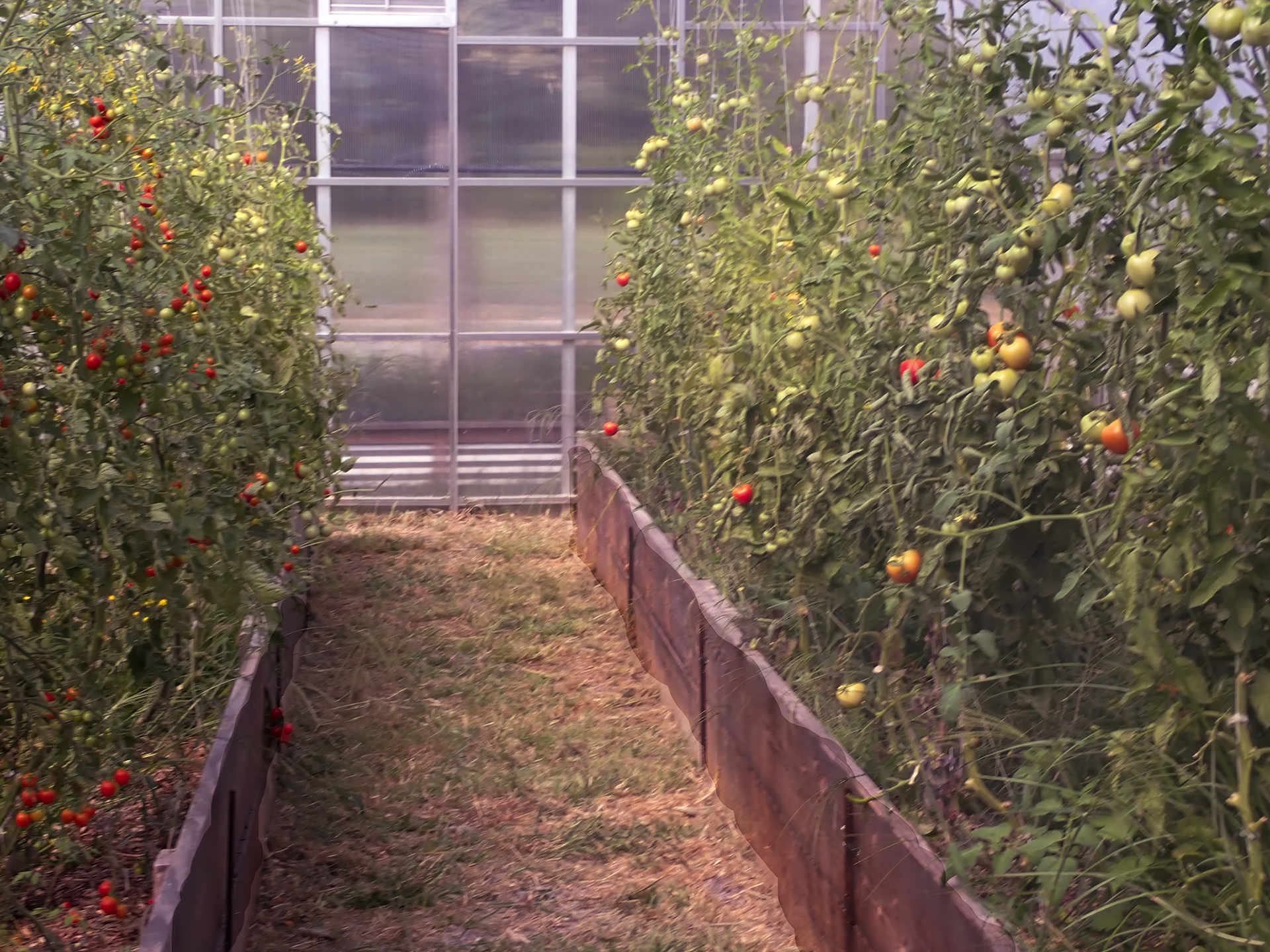 08/16/25 Urban Farms