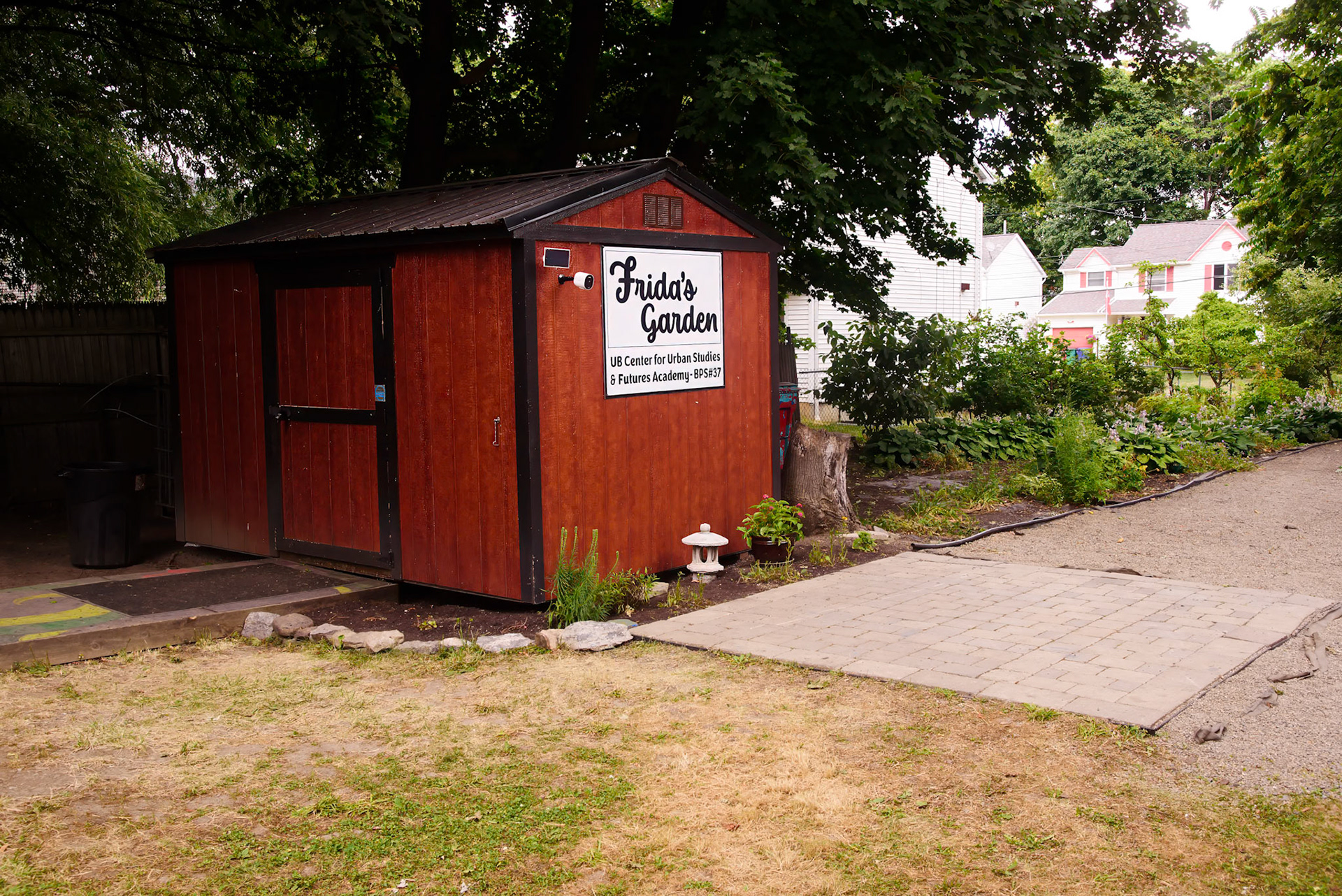 Frida's Rebel Garden