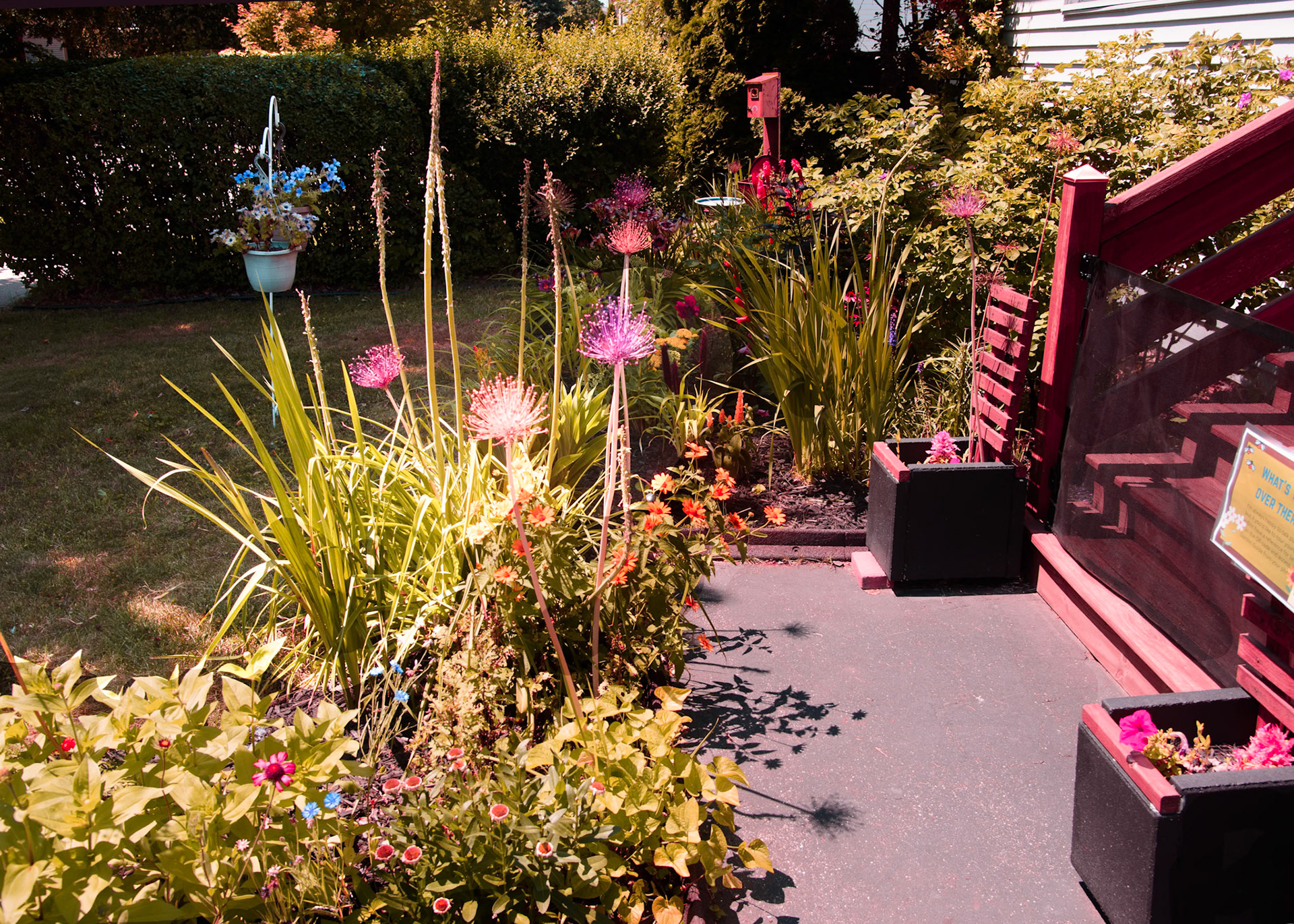 Bungalow Garden