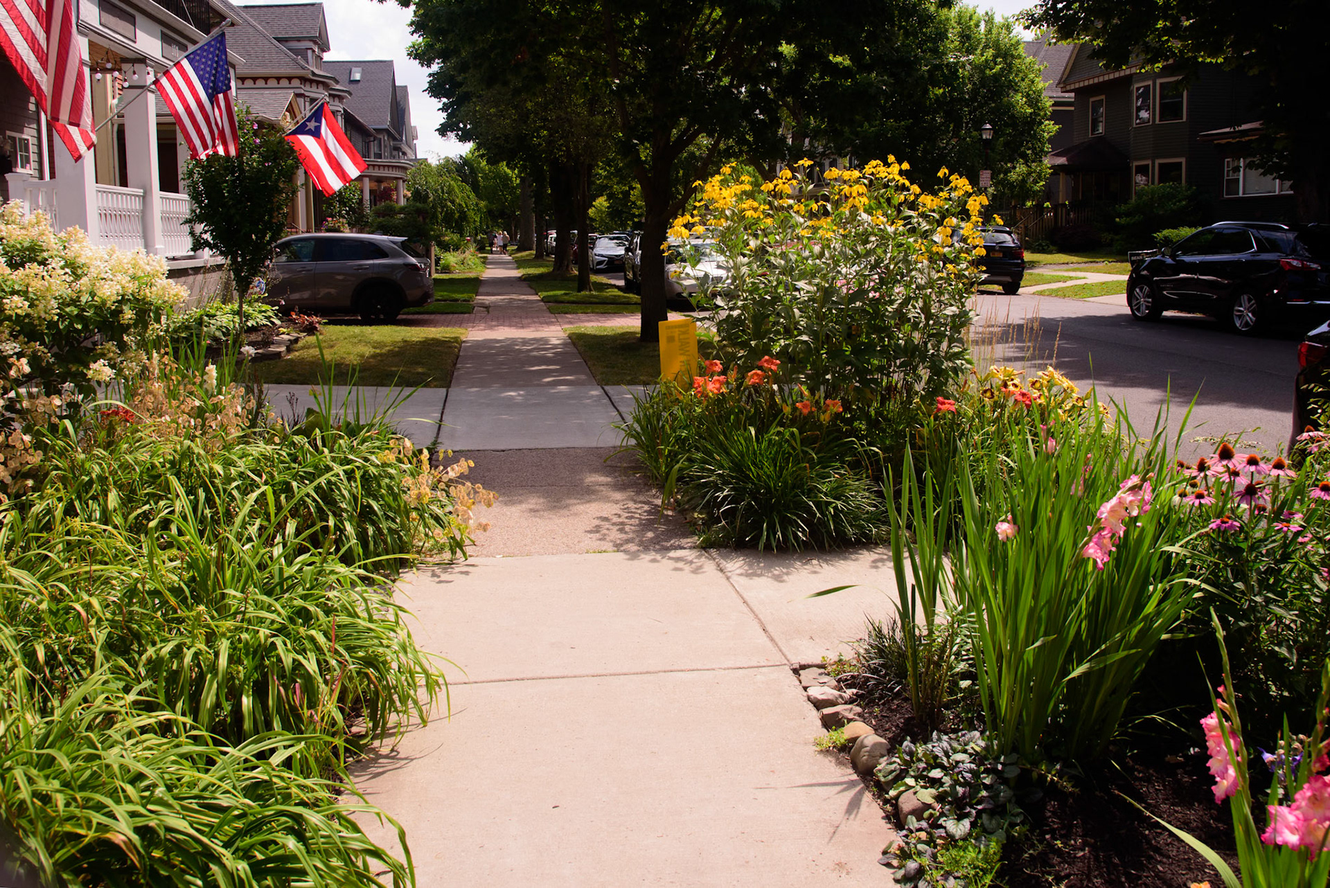 Helen's Garden