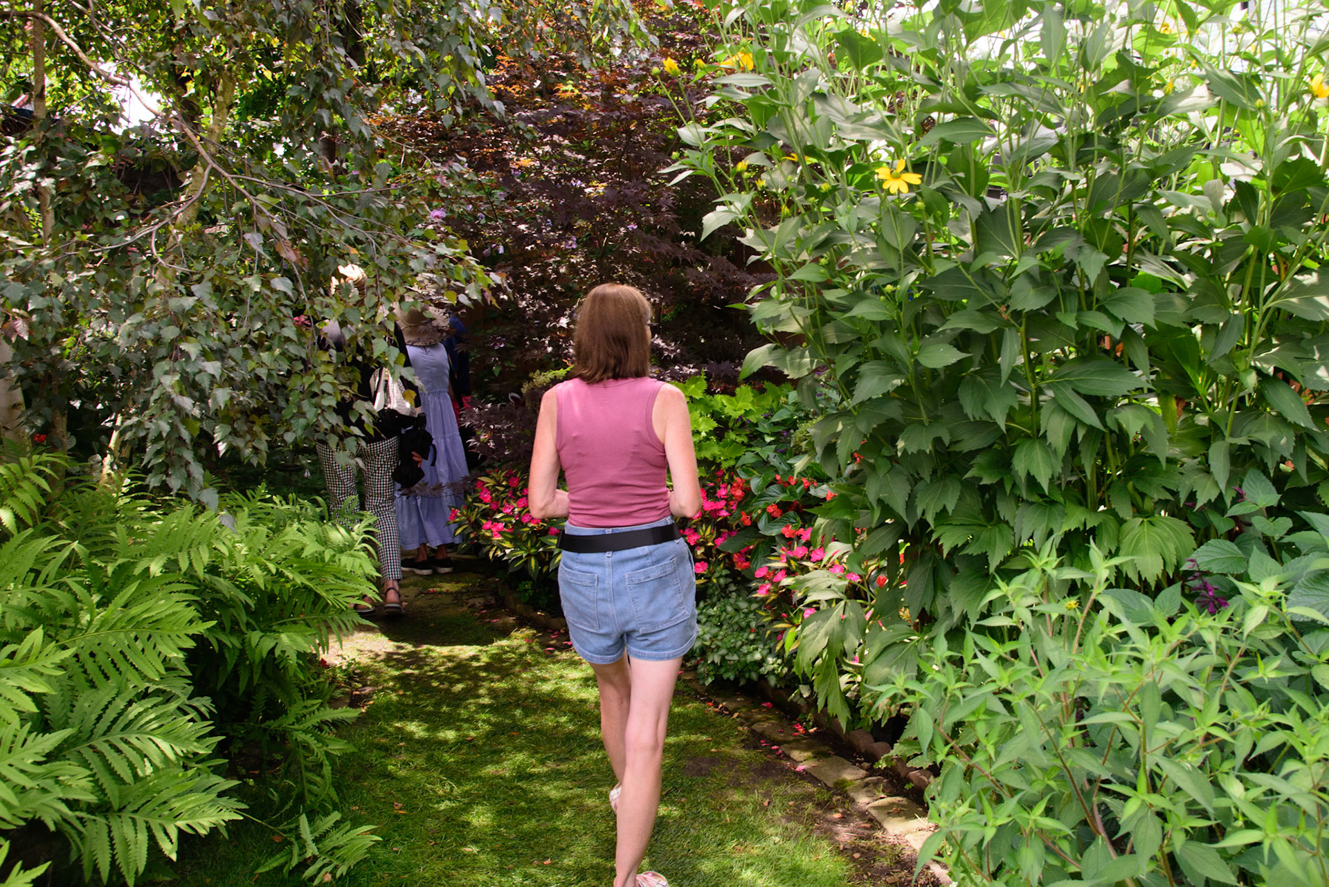 Joe and Scott's Garden