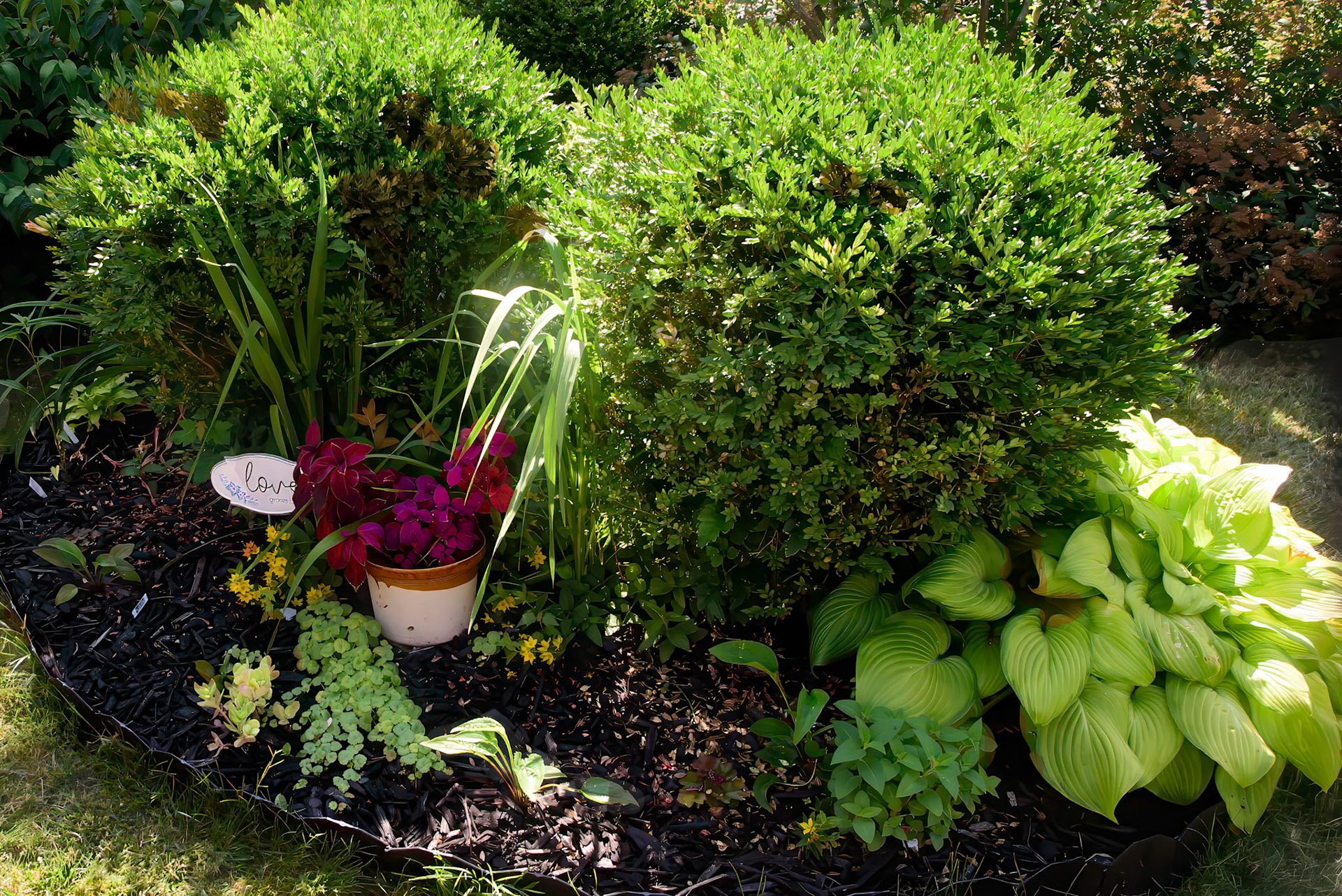 Margaret's Garden
