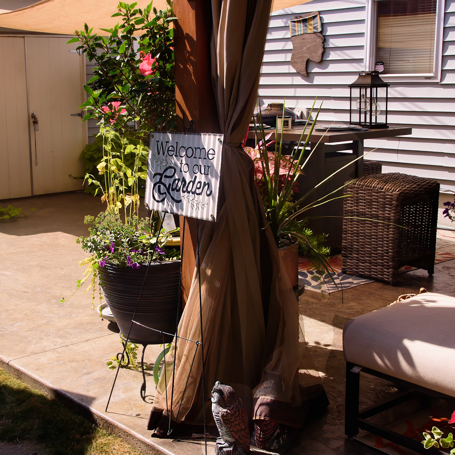 Cynthia Brown Oasis