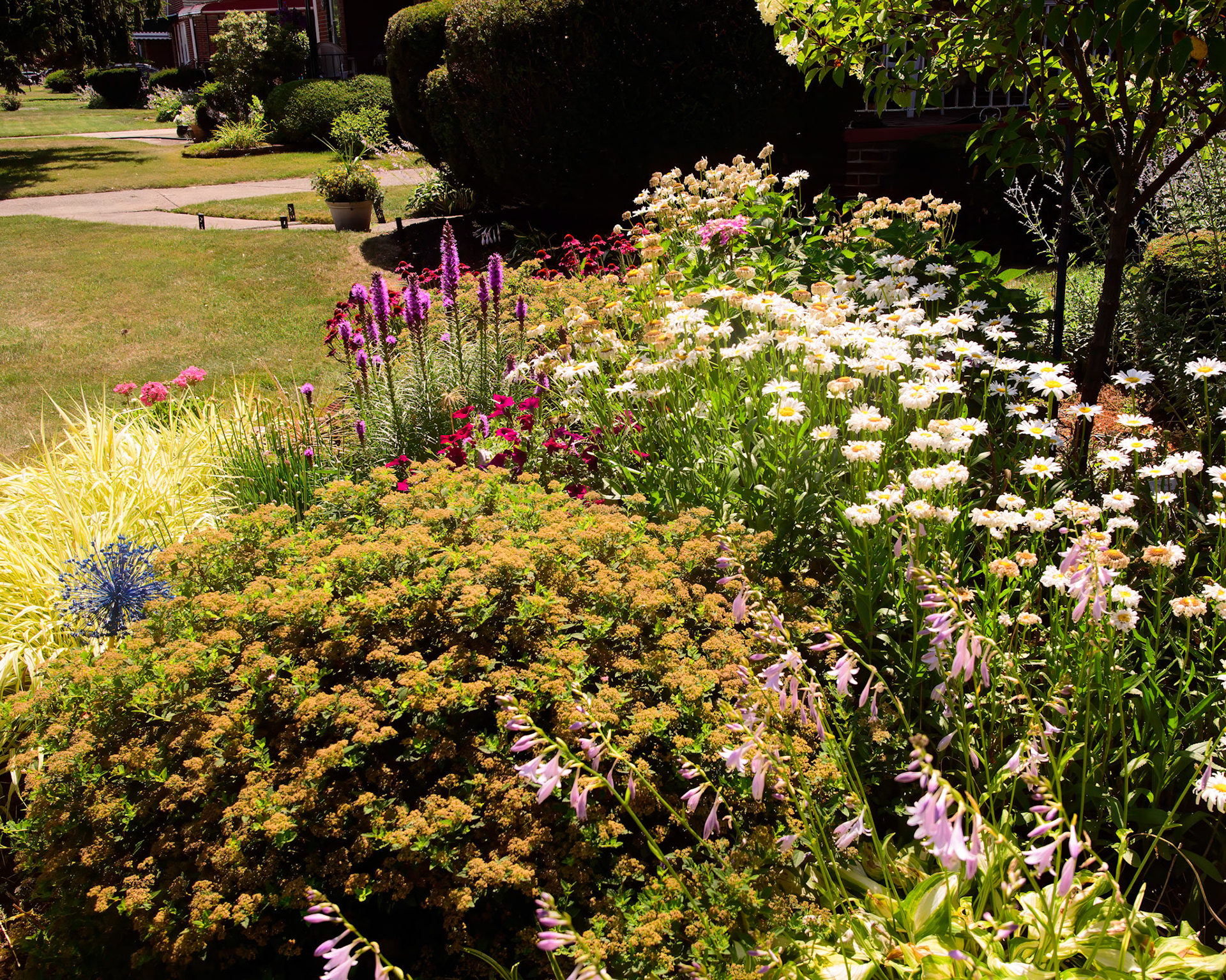 Phyllis' Therapy Garden