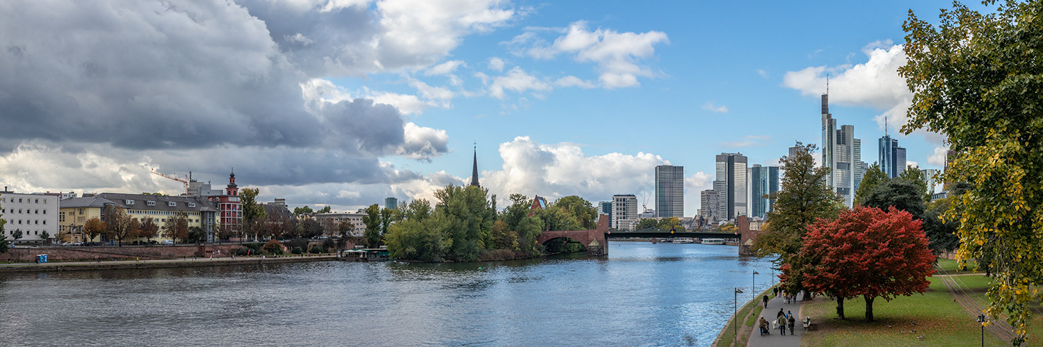 Frankfurt am Main skyline on cloudy day
