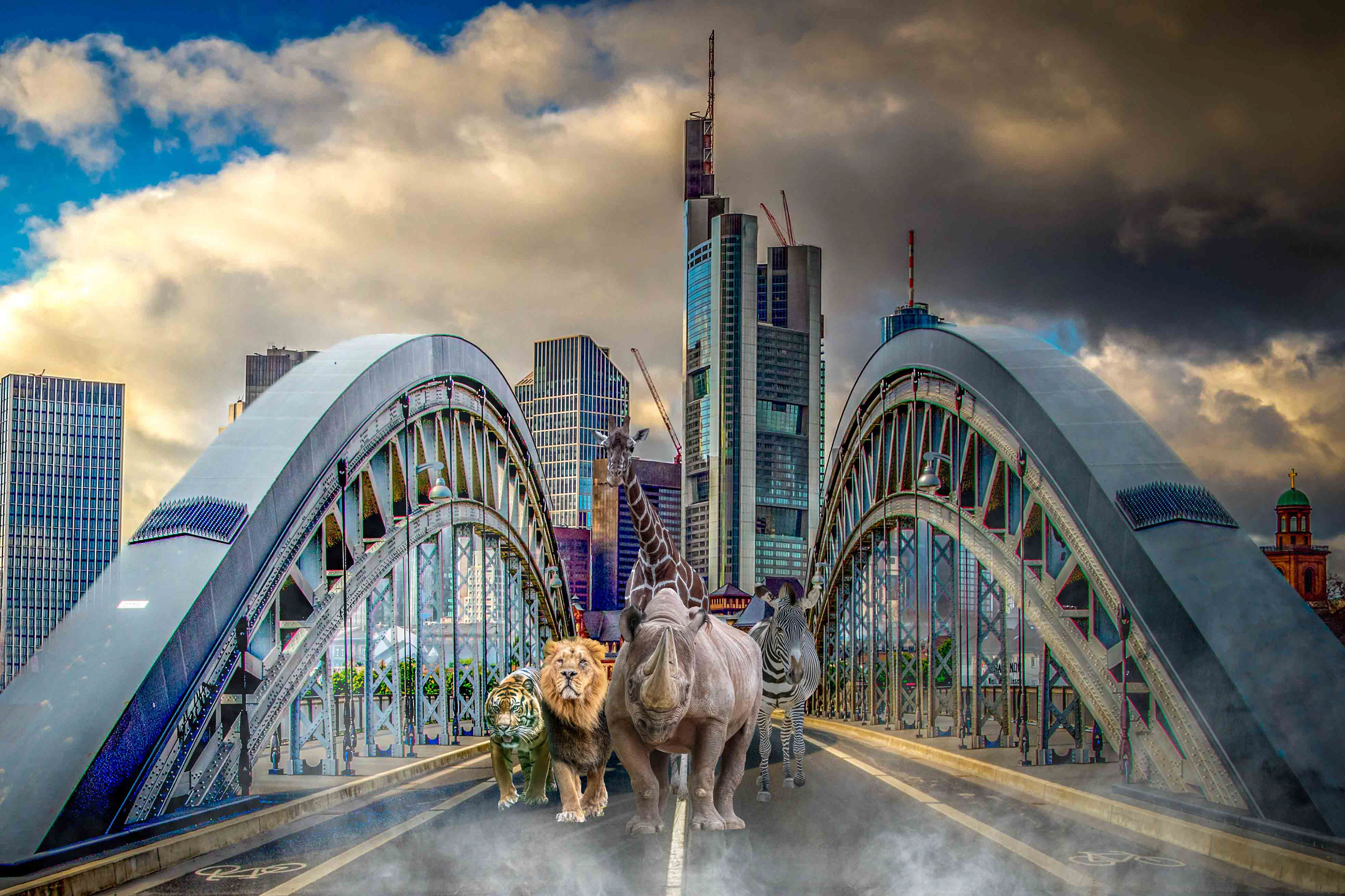 A photo composite made from several of my photographs