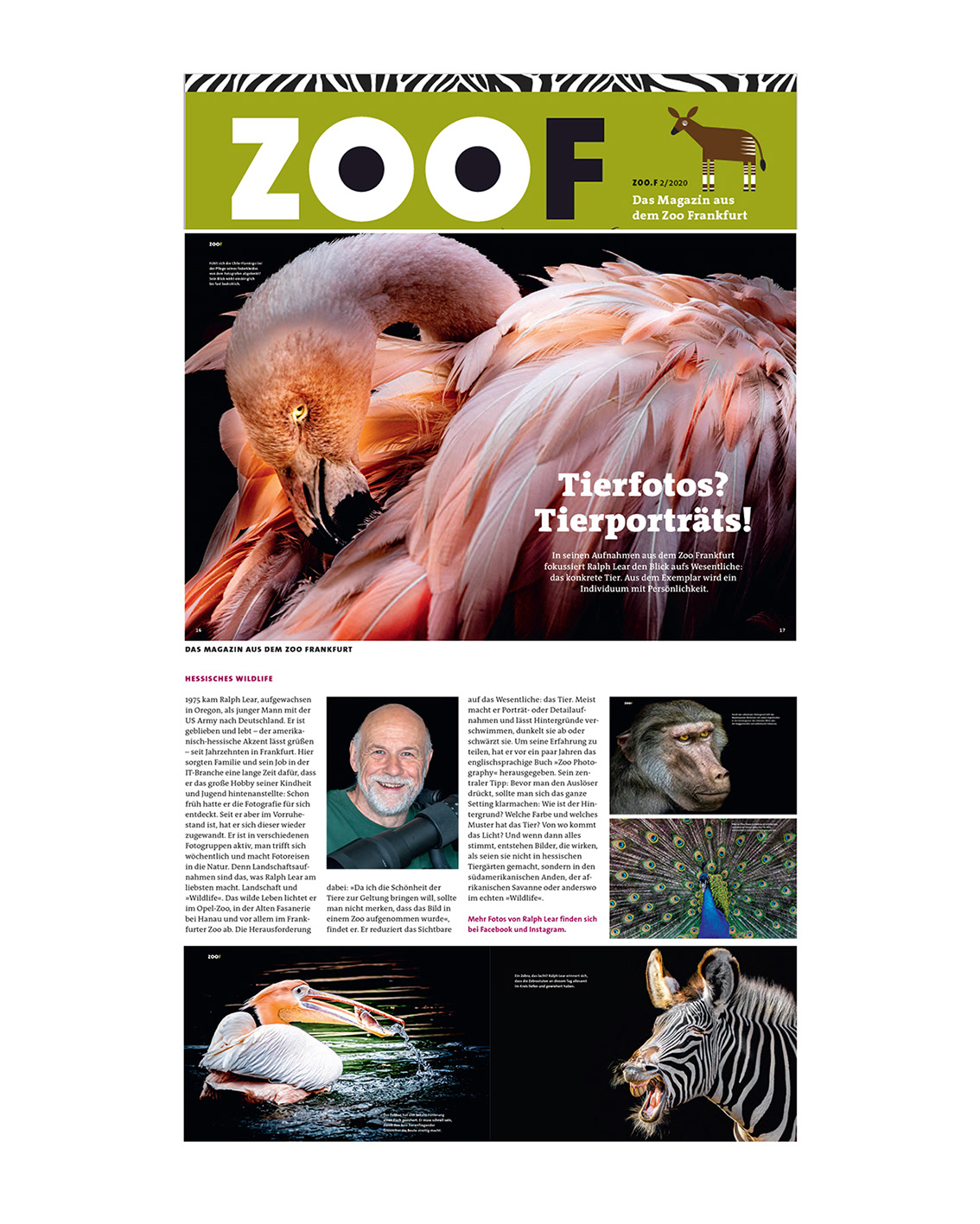 ZooF Nr. 02/2020