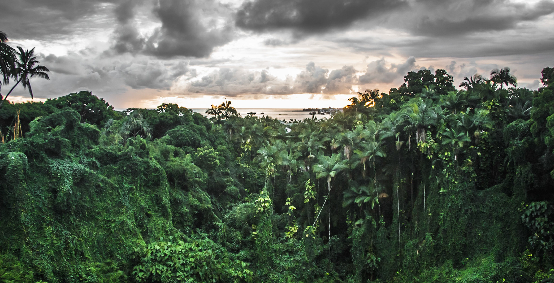 Morning view from our bedroom window at Shipman House in Hilo, Hawaii.