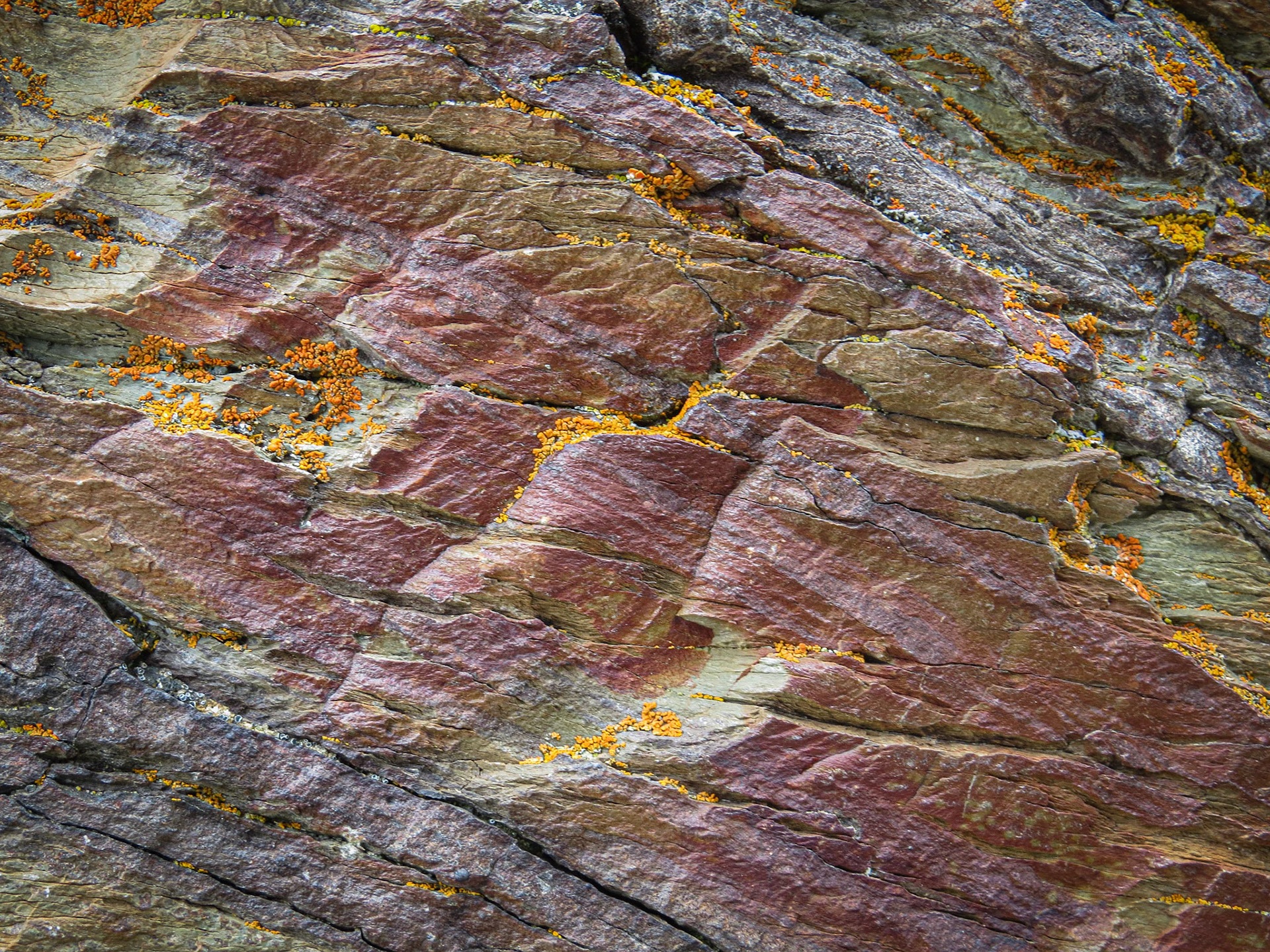 Rock face.  Moraine Lake, Canadian Rockies.