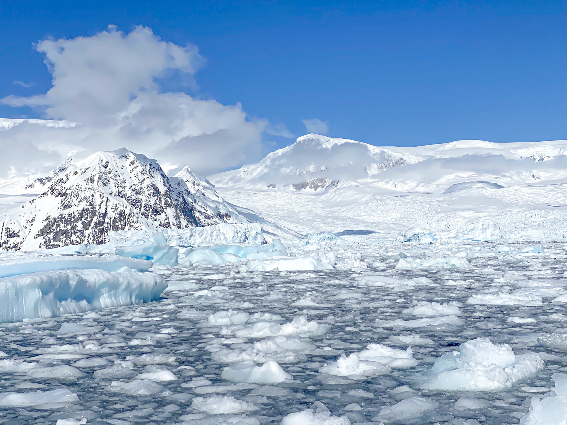 Neko Harbor, Antarctica.