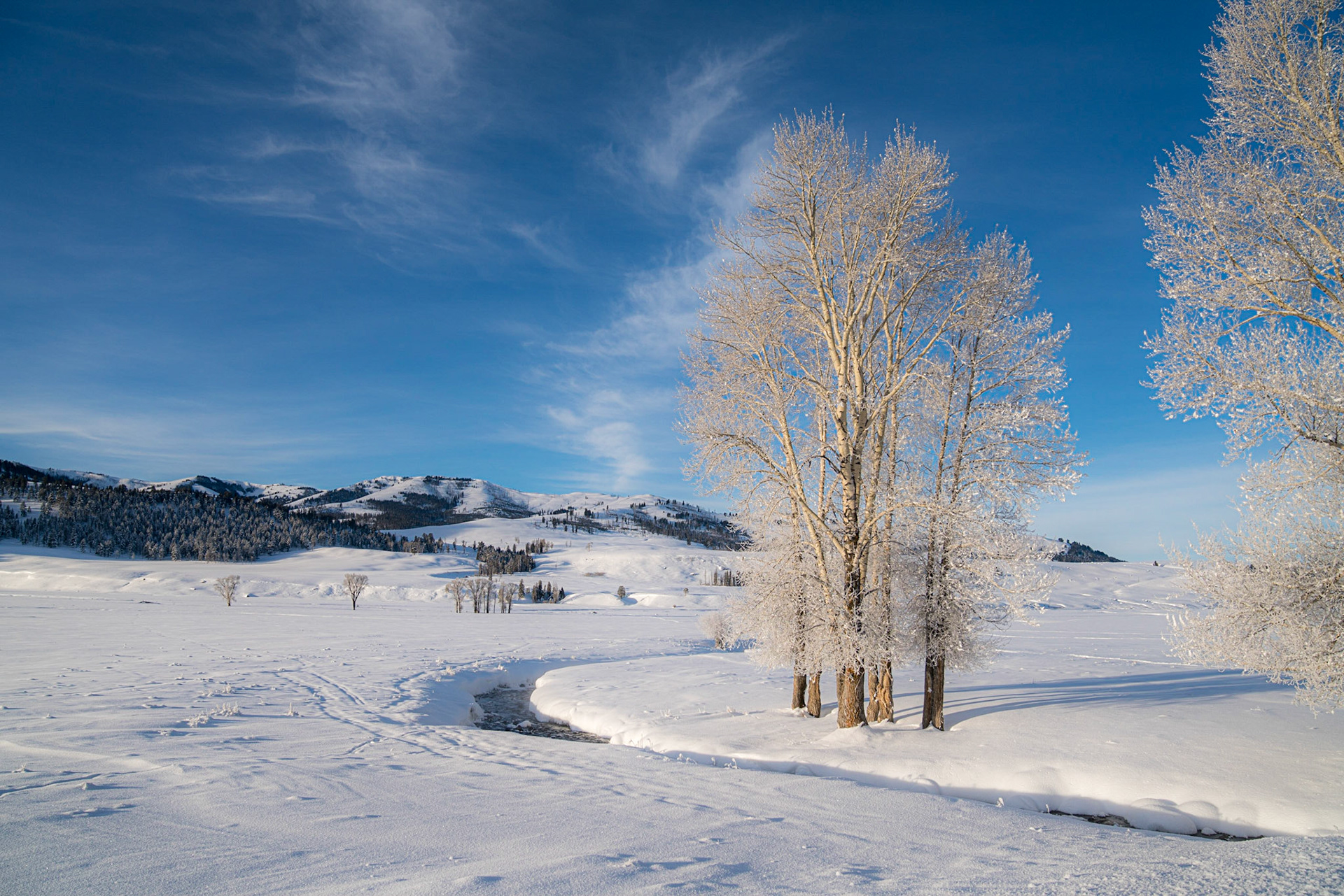 Lamar Valley.  Yellowstone.