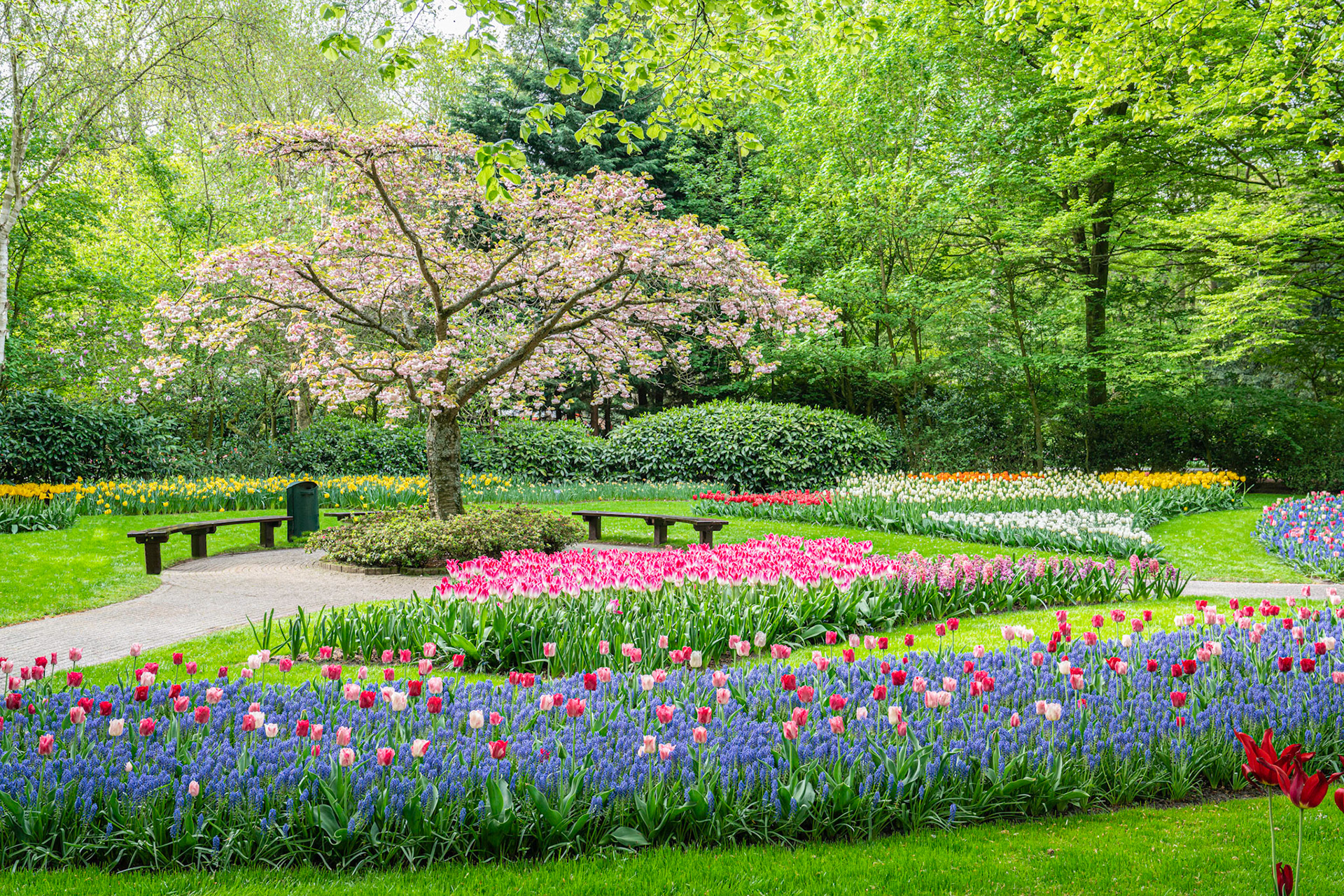 Keukenhof Gardens, Netherlands.