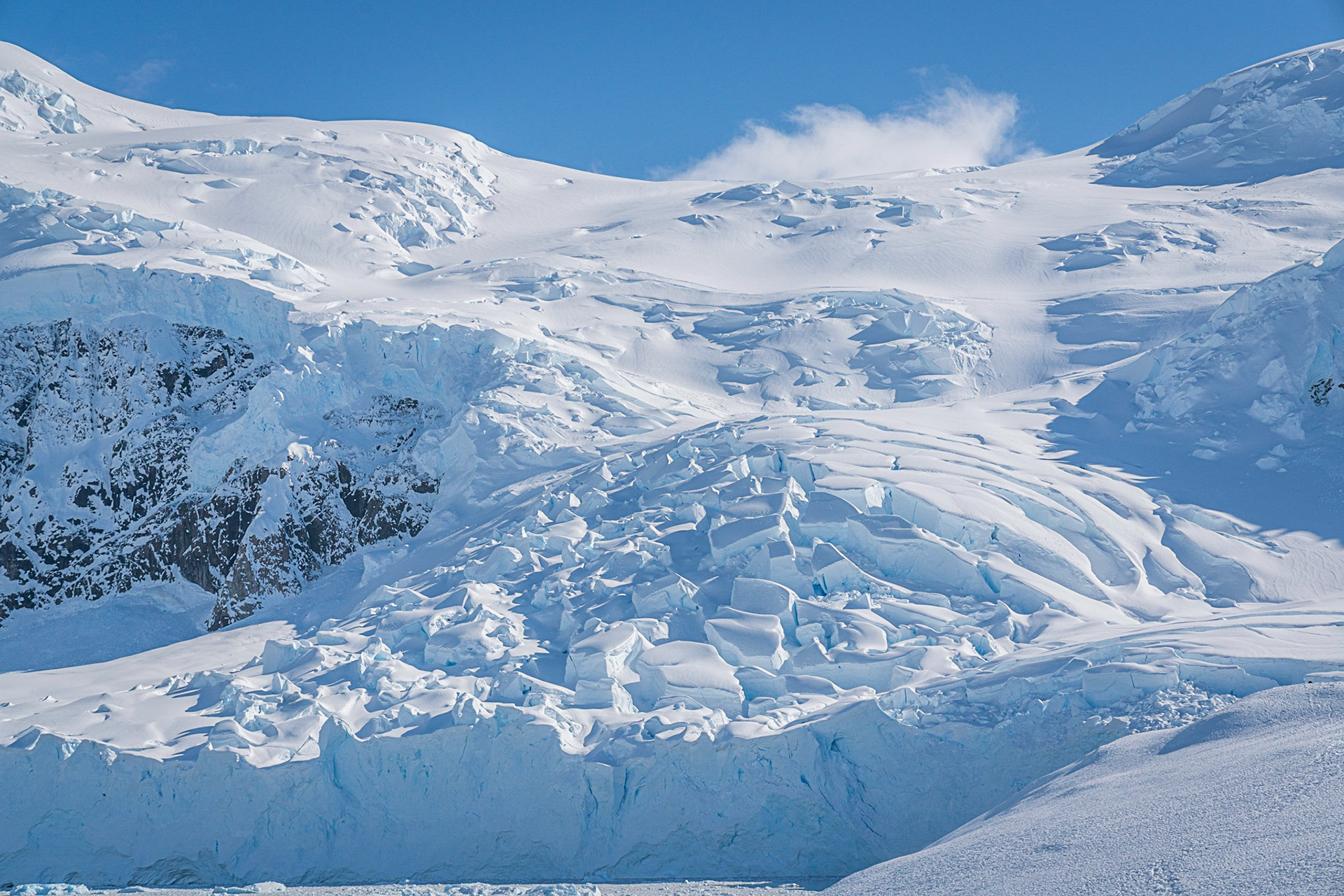 Neko Harbor, Antarctica.