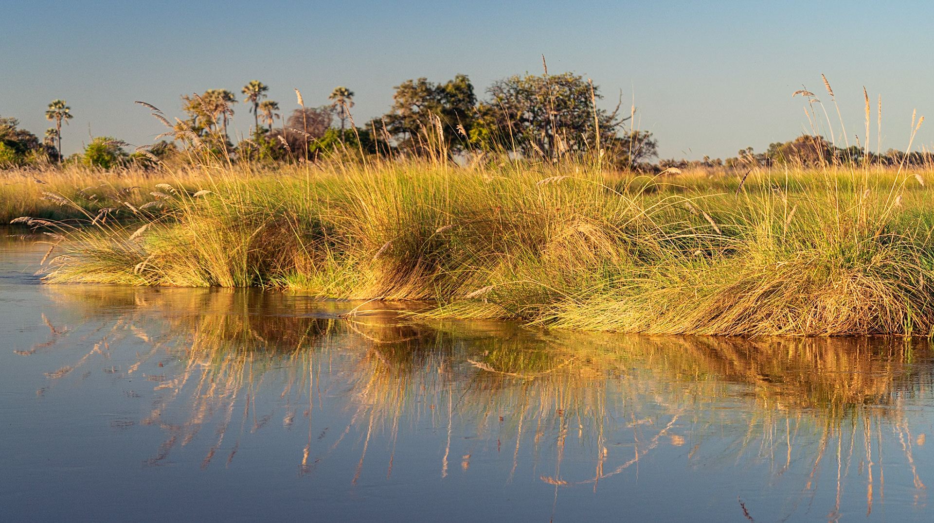 View of terrain from boat at Eagle Island Camp.
