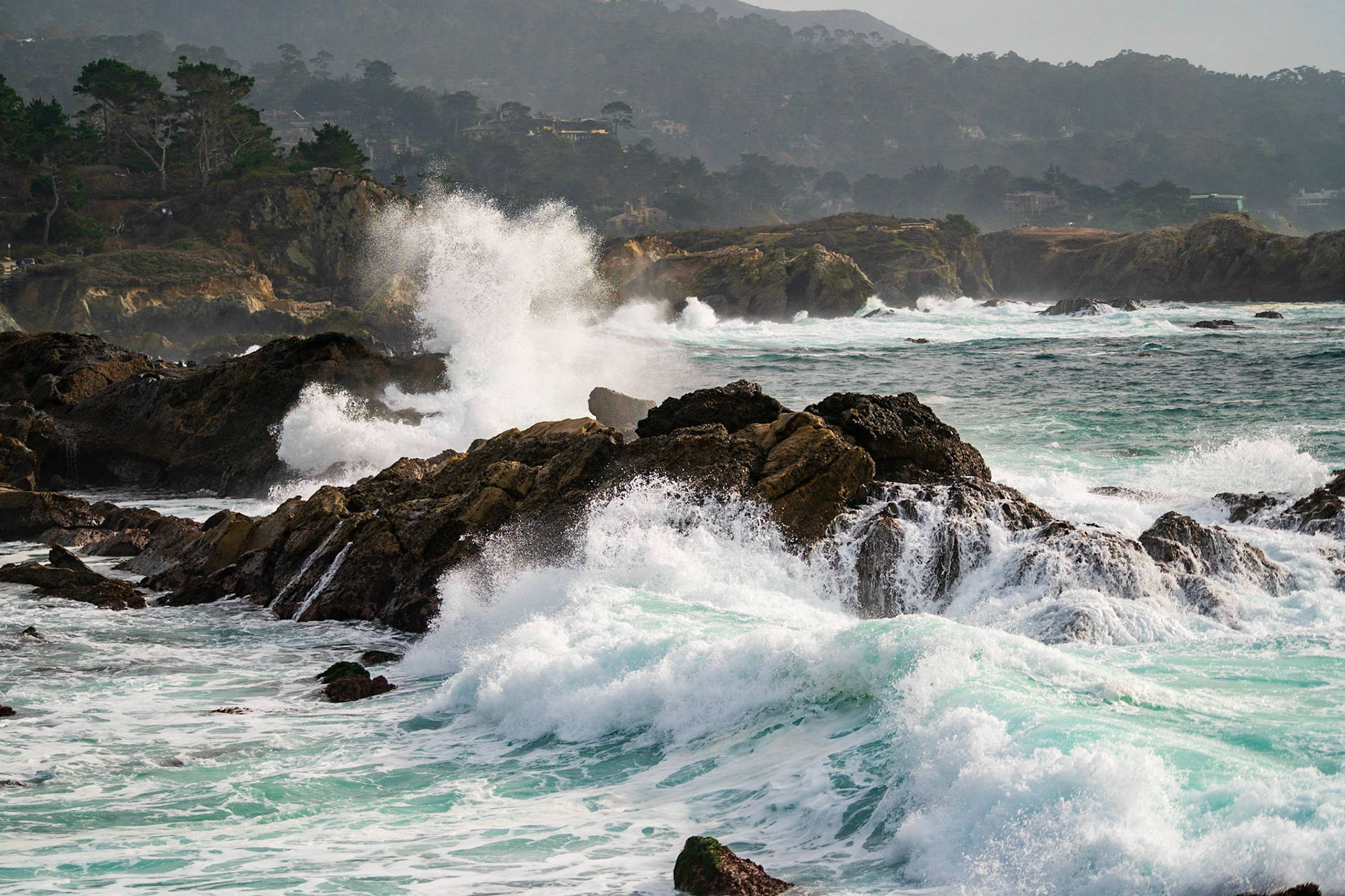 Point Lobos.