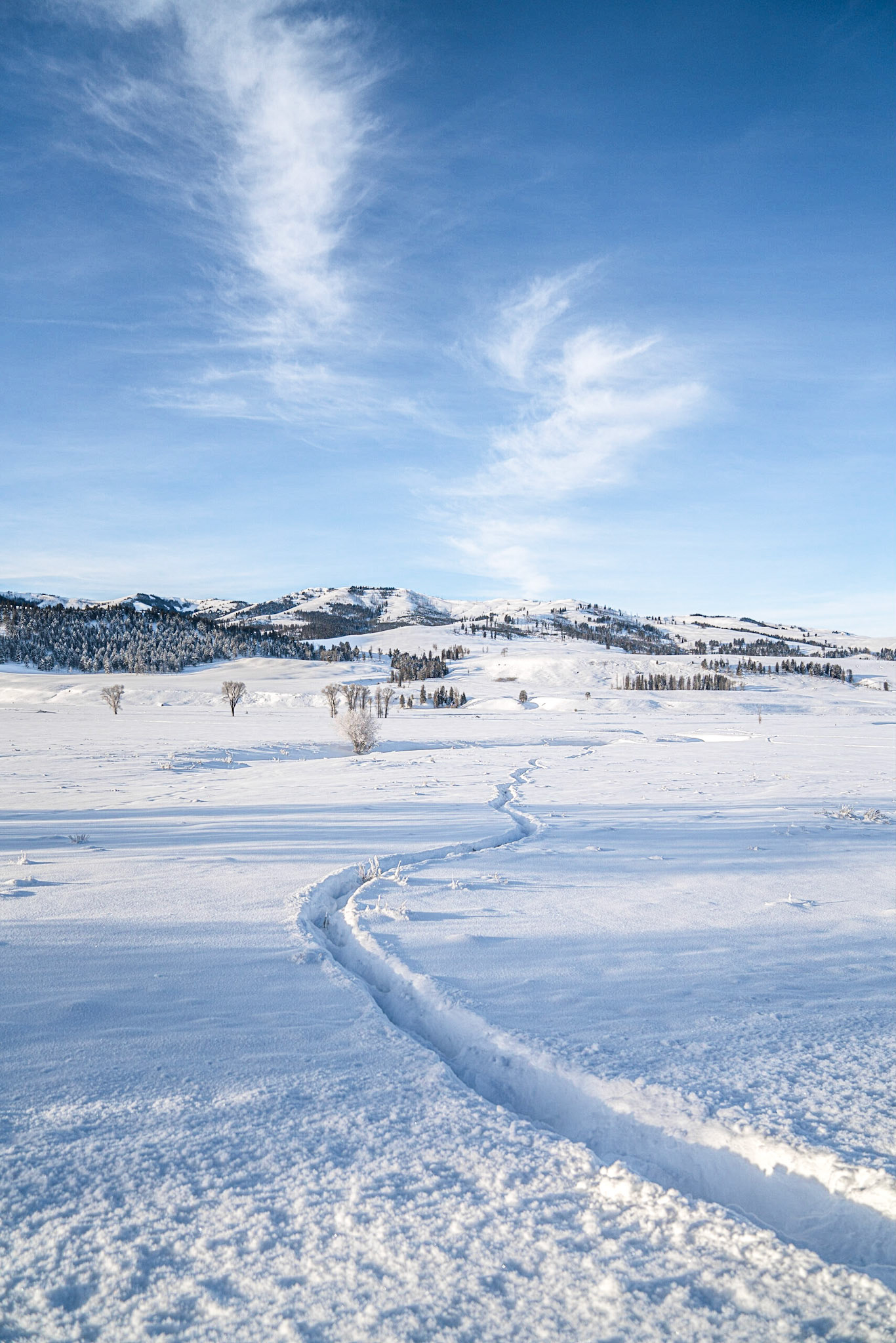 Lamar Valley.  Yellowstone.