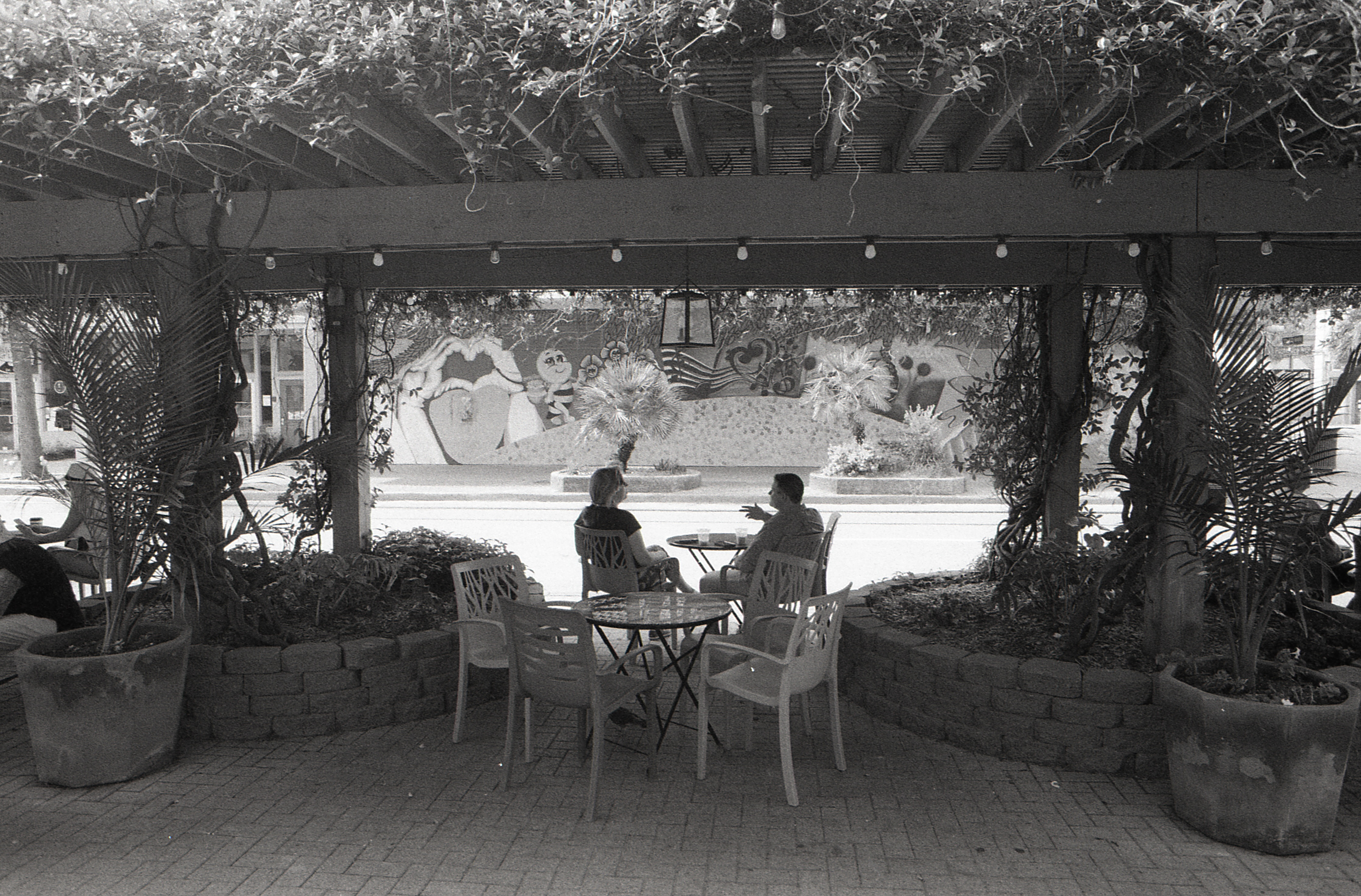 Kodak Tri-X 3200 on a Nikon N80, Galveston 2023