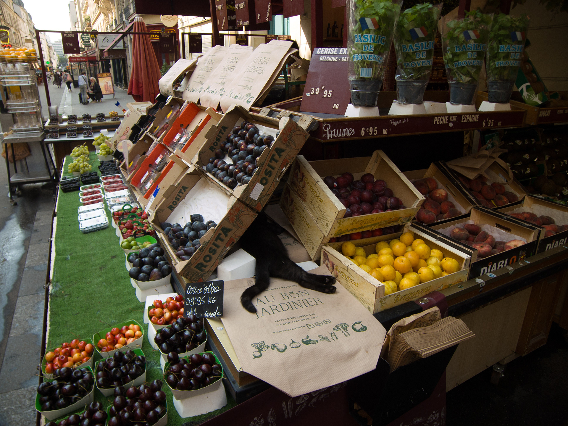 Kodak P880 Digicam, Paris 2025